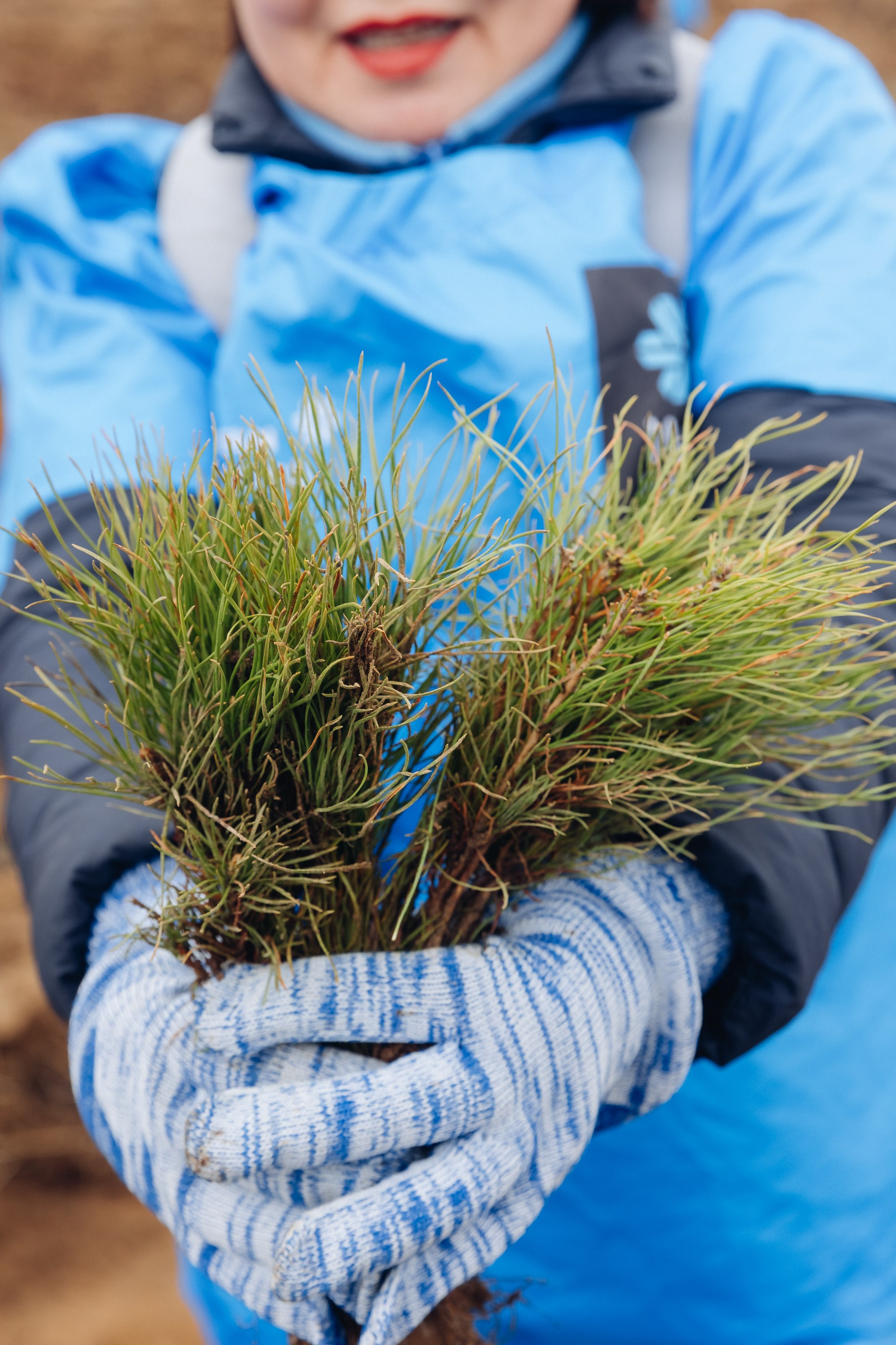 Siberian wellness. Ежегодная акция по посадке деревьев. Свадебный и семейный фотограф в Улан-Удэ