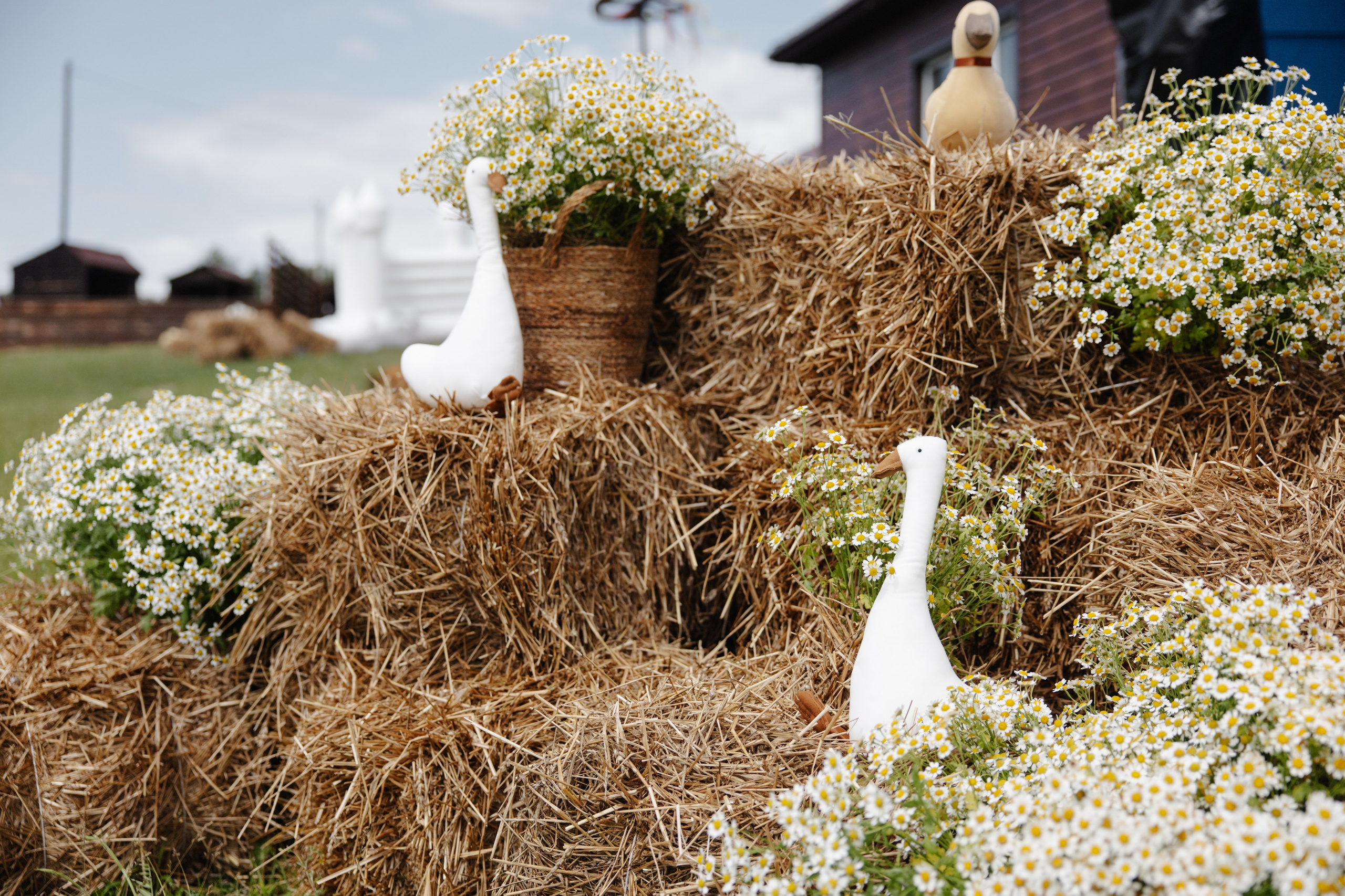 ГЕНДЕР ПАТИ. Фотограф в Красноярске