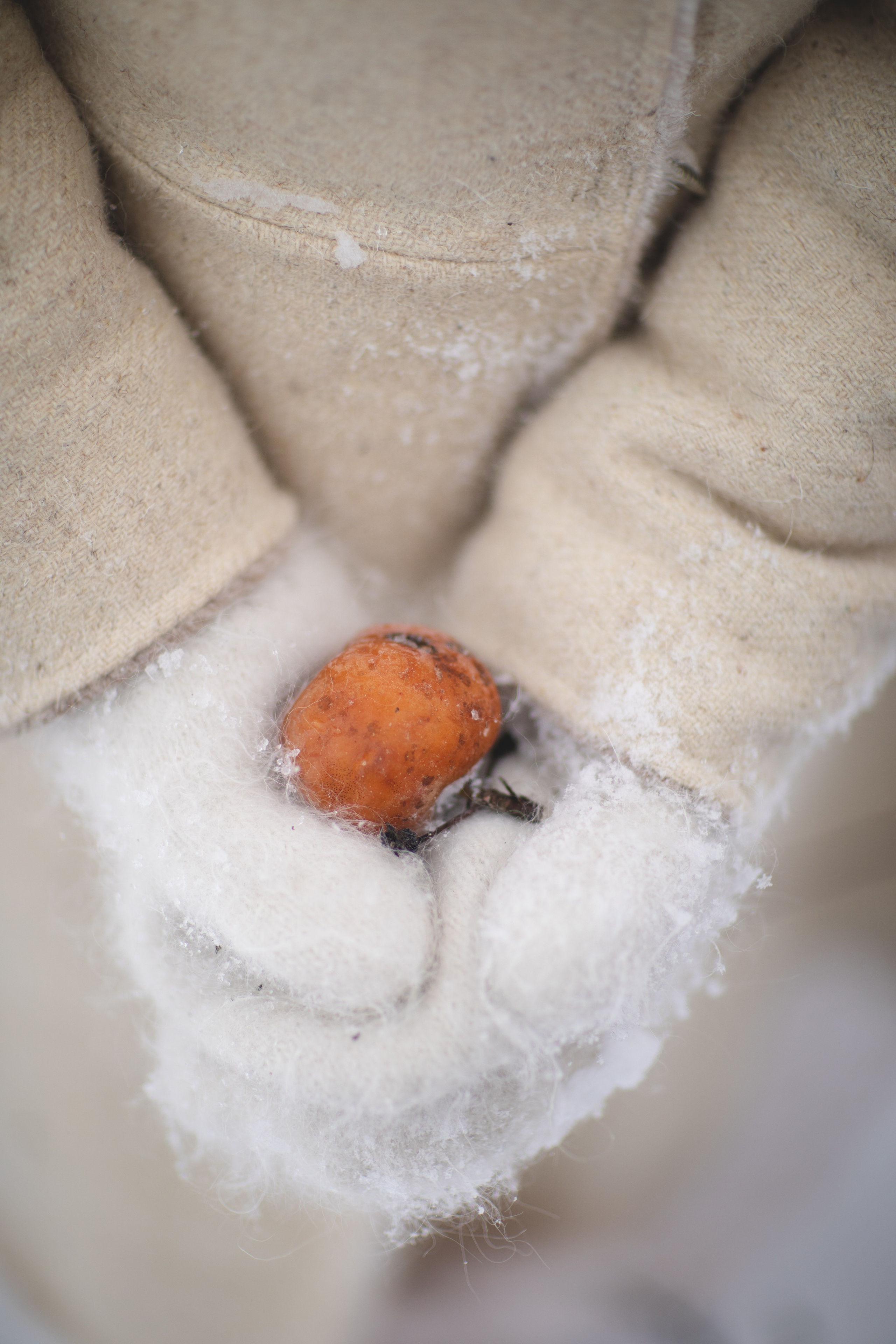 Фототур «Край озер» Зима. Семейный фотограф в Москве Анастасия Гурьянова