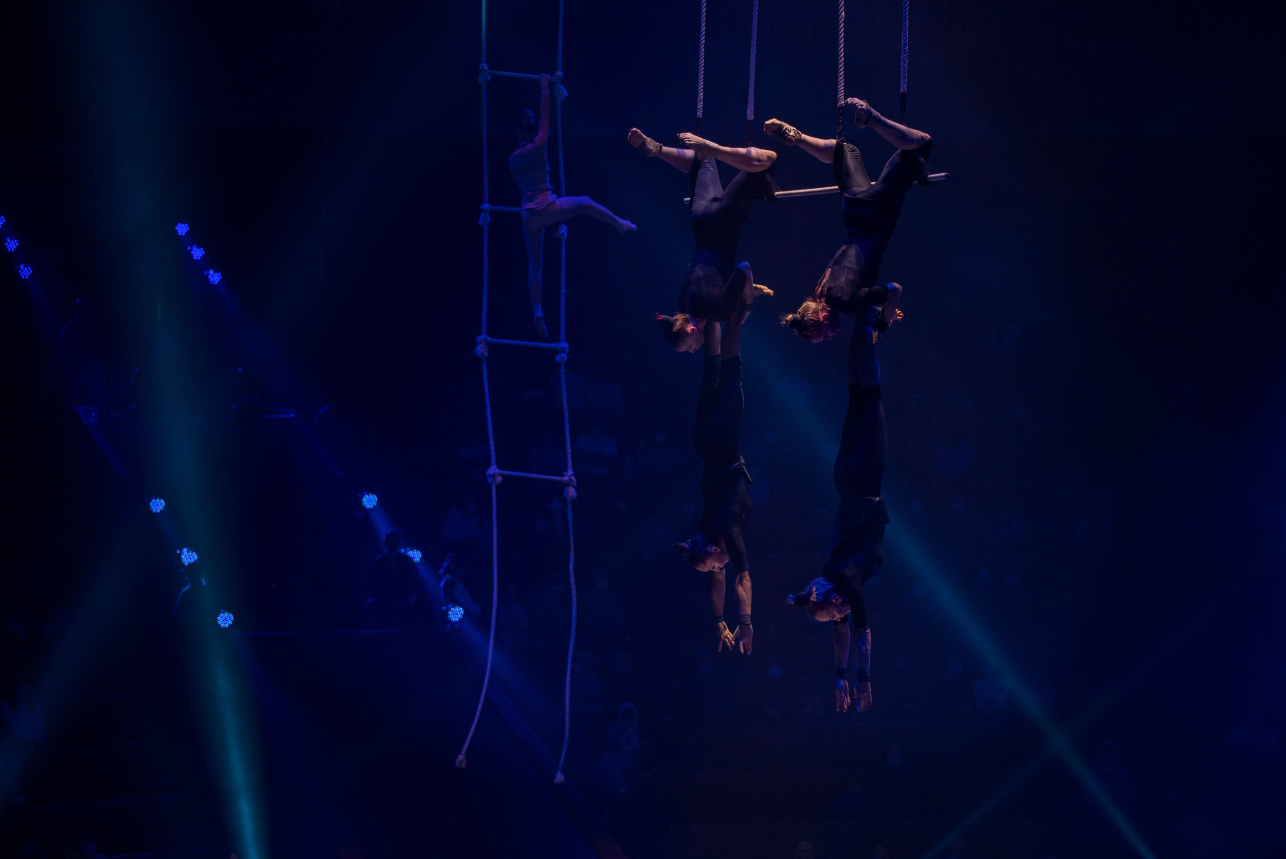 Цирк Запашных — Шоу И100рия. Женский и семейный фотограф в Москве, Железнодорожном Анастасия Кинёва