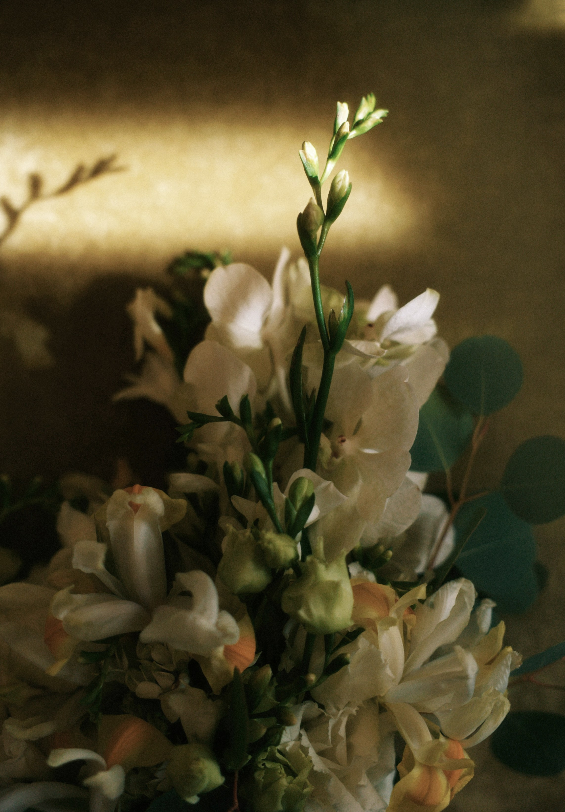 Женя и Яна. Фотограф Москва, Санкт-Петербург, Абакан