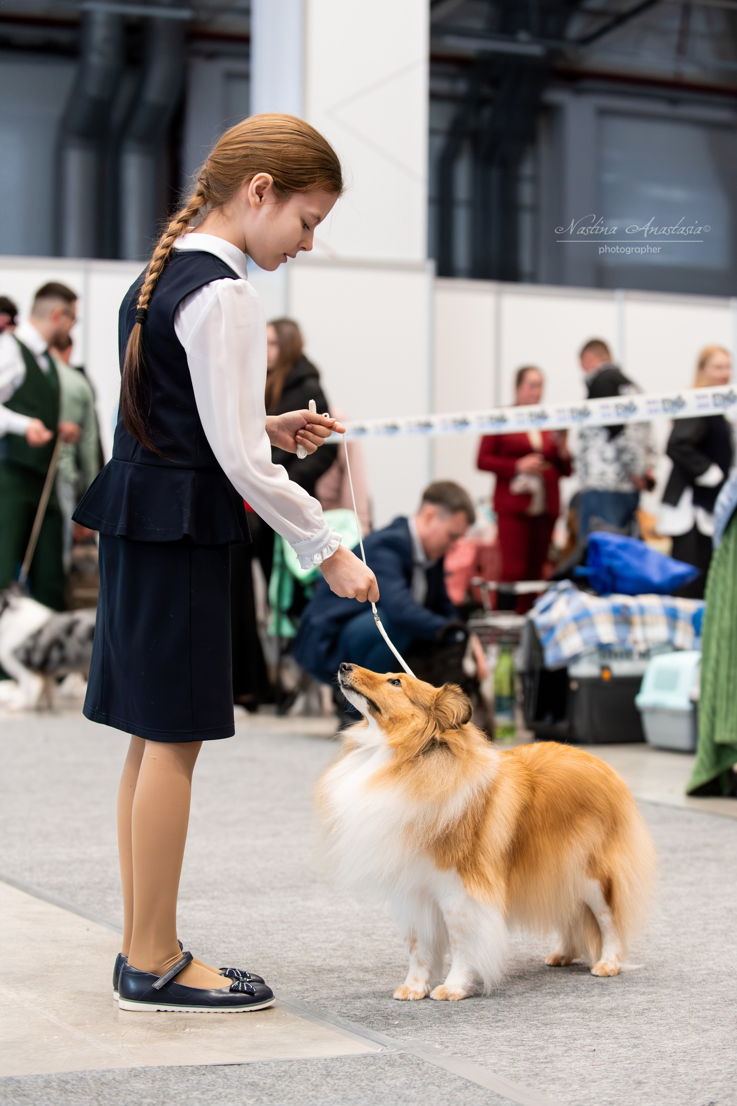 Выставки. Фотограф — Анималист
