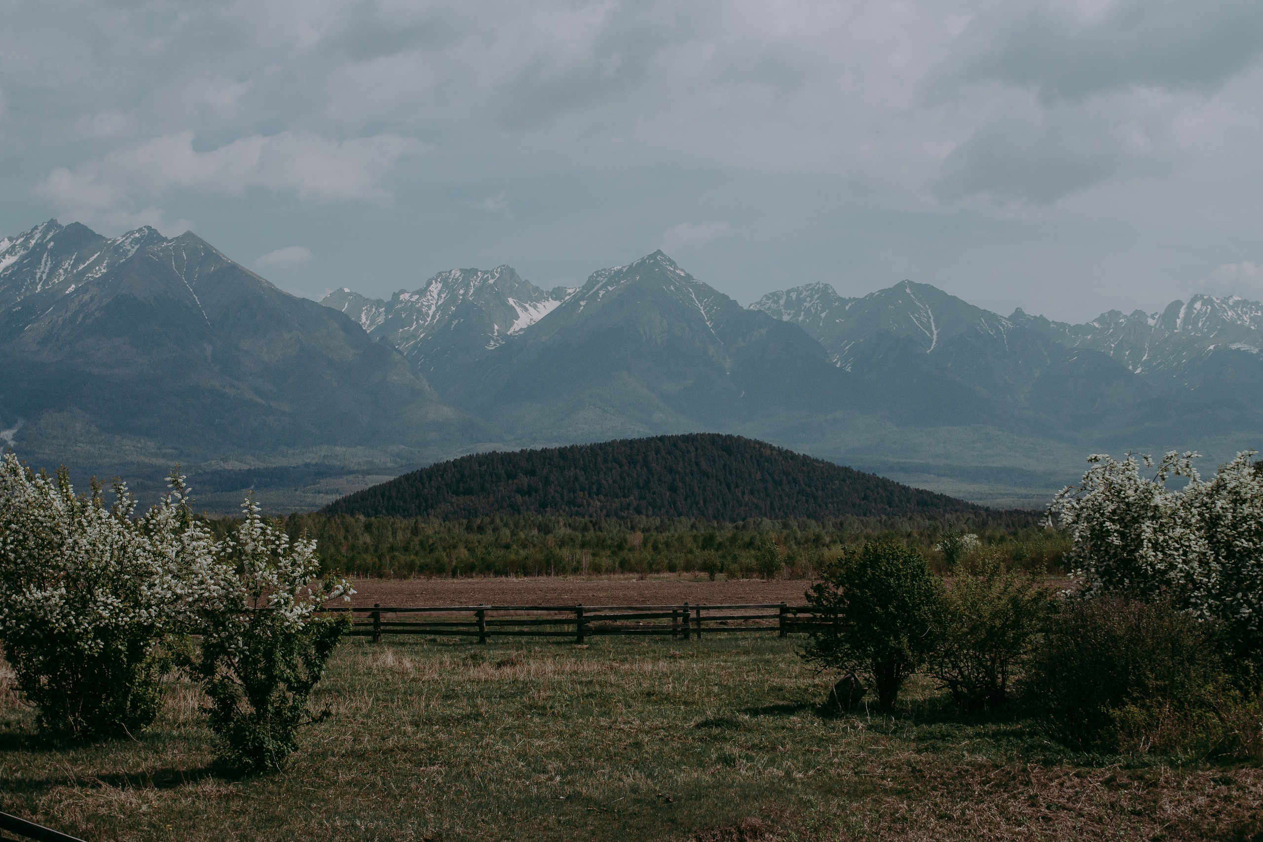 Ретрит на Байкале / Школа Ведических знаний SoVA / 7 дней, 2023. Борщевская Елизавета / фотограф Иркутск