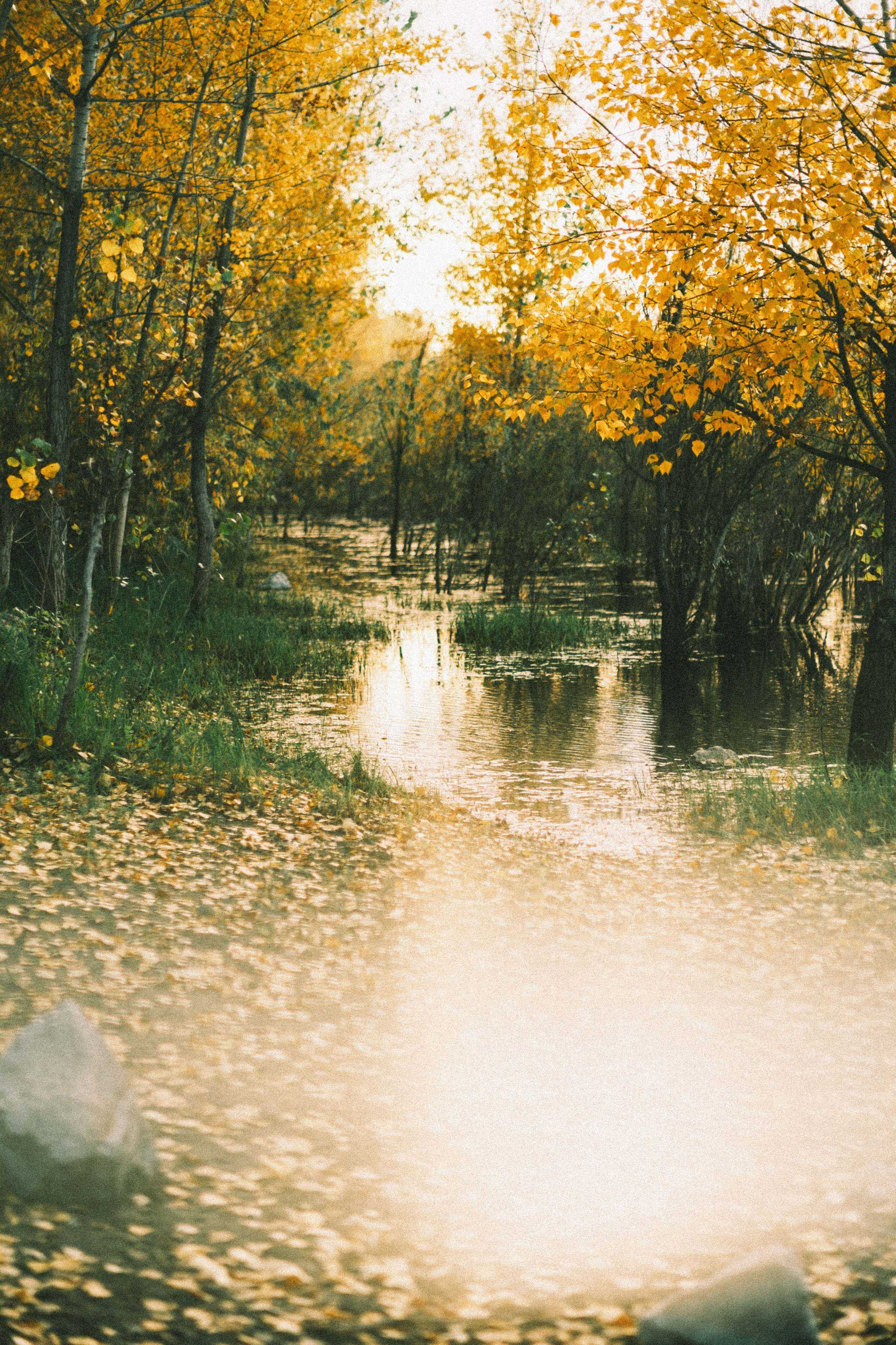 Осень и гребной канал. Свадебный и семейный фотограф Барнаул Рубцовск Бийск Алтайский край