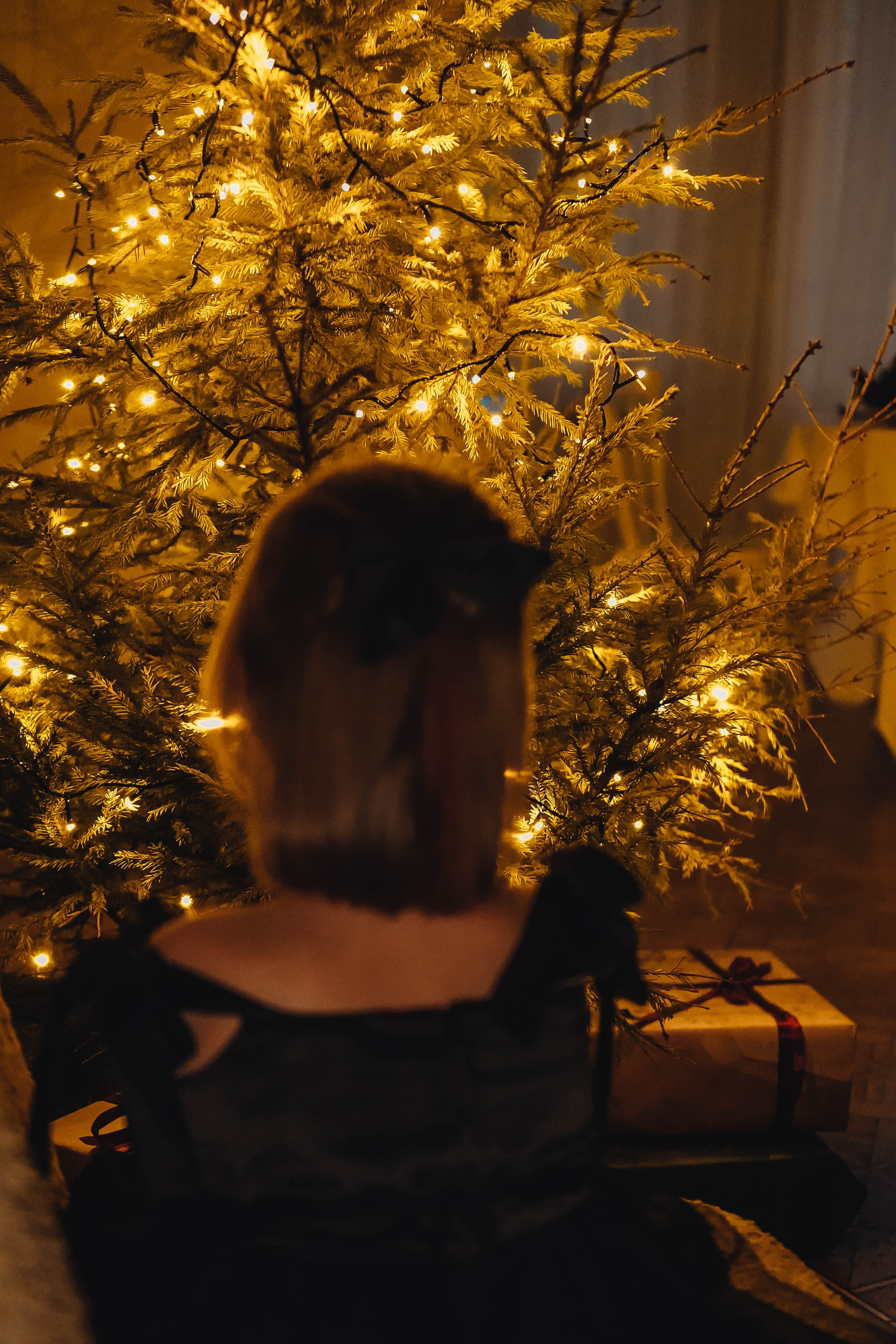 Семейная новогодняя. Профессиональный фотограф, Санкт-Петербург — Виктория Богомолова