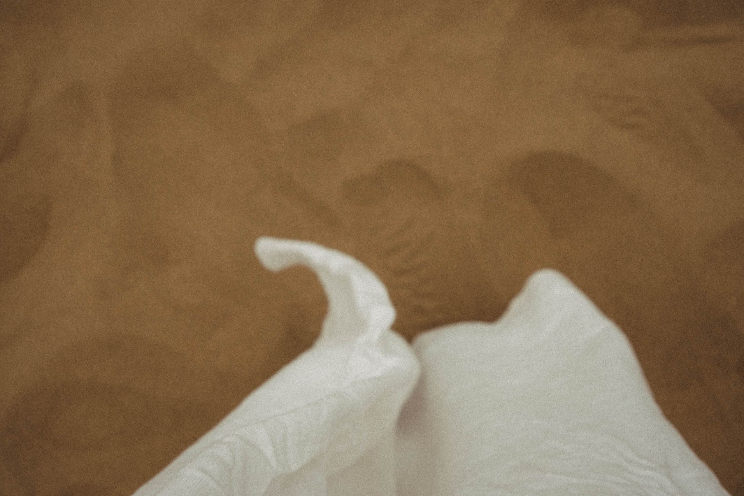 Кавказ. Профессиональный фотограф, Санкт-Петербург — Виктория Богомолова