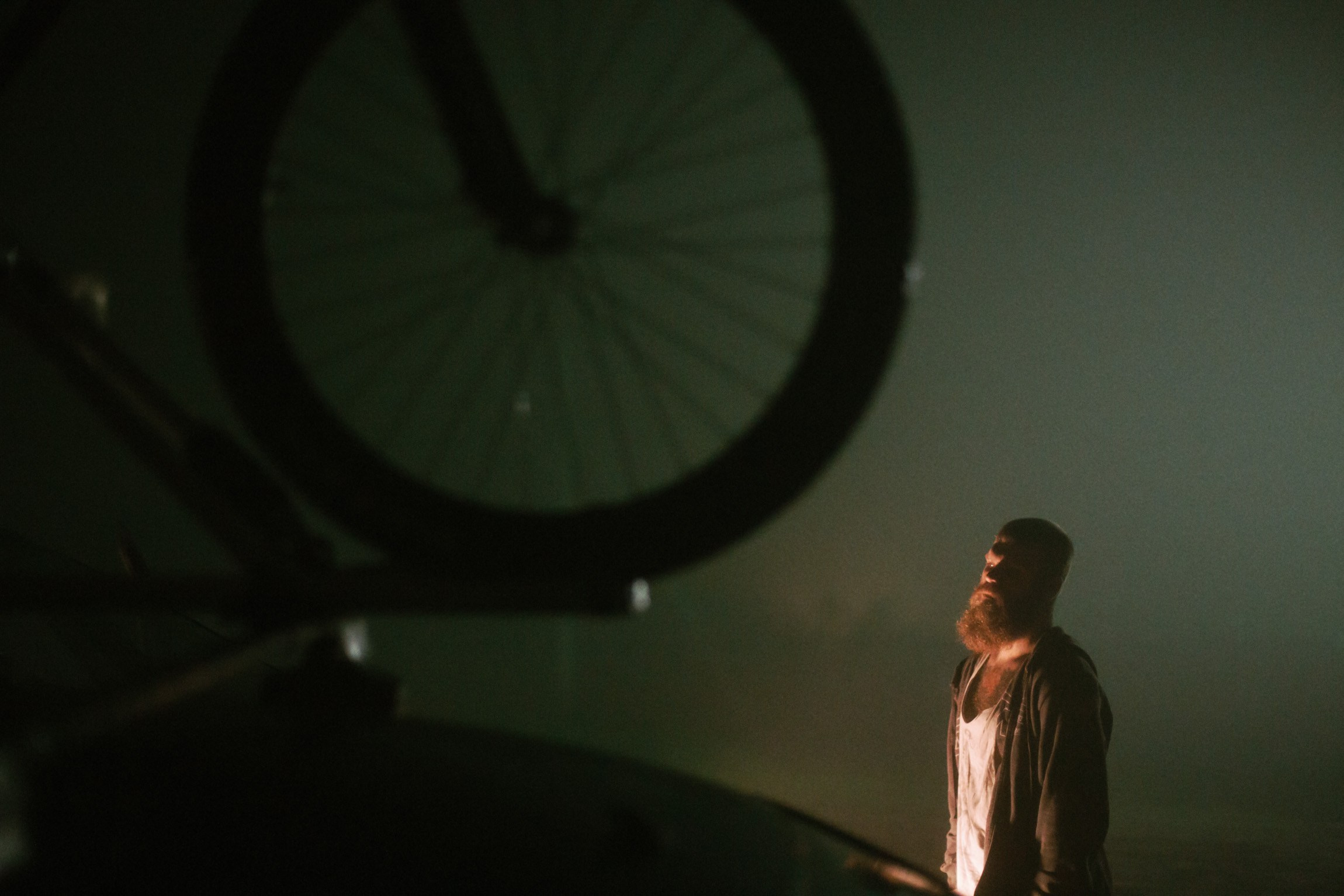 Lifestyle. Bivol images