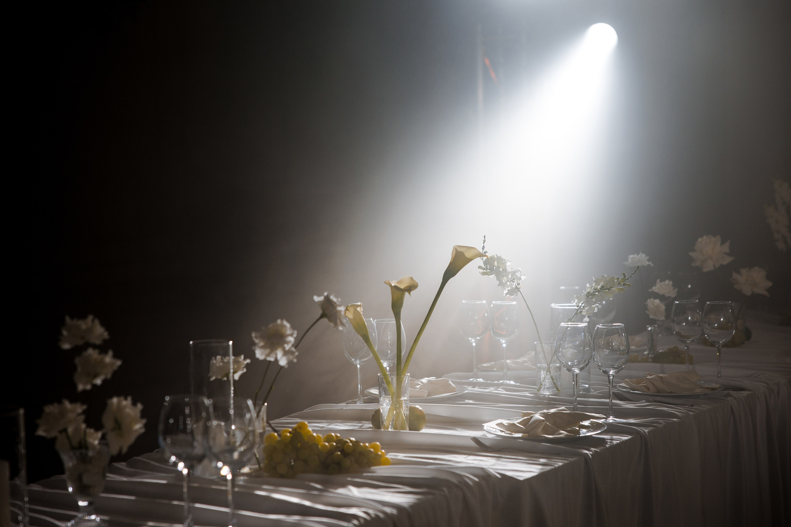 Кирилл & Анастасия. Организатор- Елена Гаманович. Главная