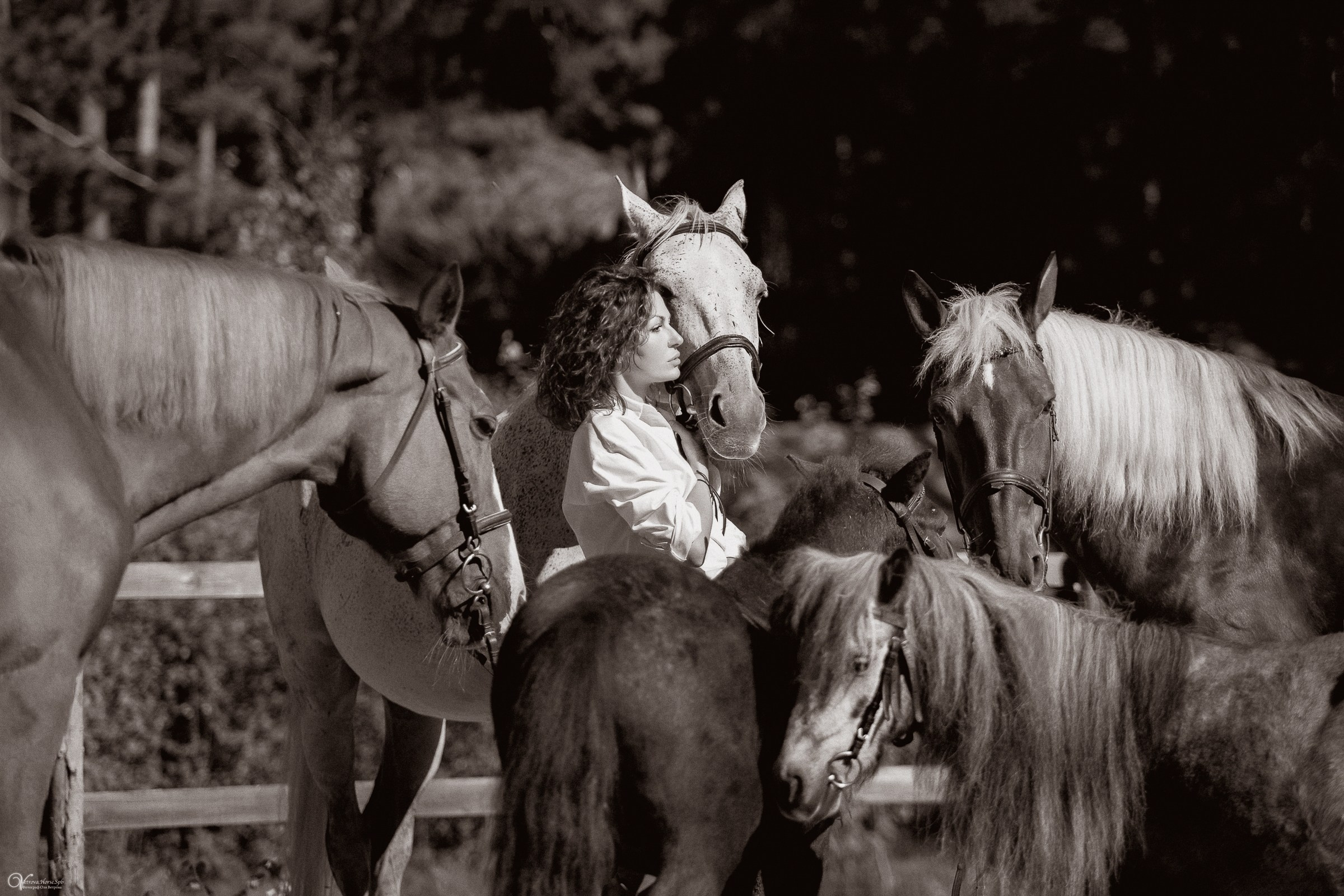Фотосессия с лошадьми в кантри стиле. Фотограф женский и мужской портрет Санкт-Петербург