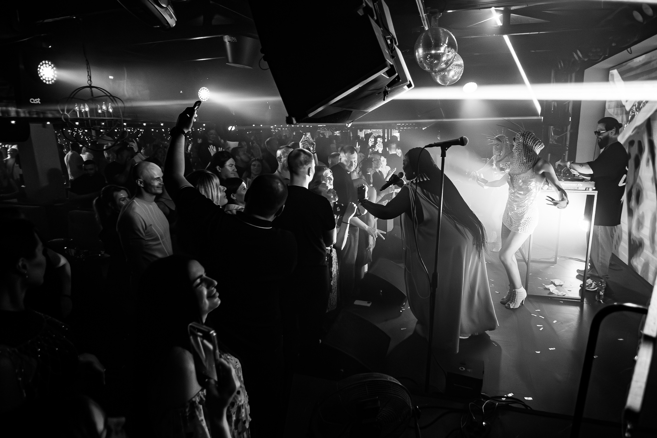 «LIZWI"_Чайка на пляже_Ялта_7.06.2025. Аминов Руслан | Фотограф