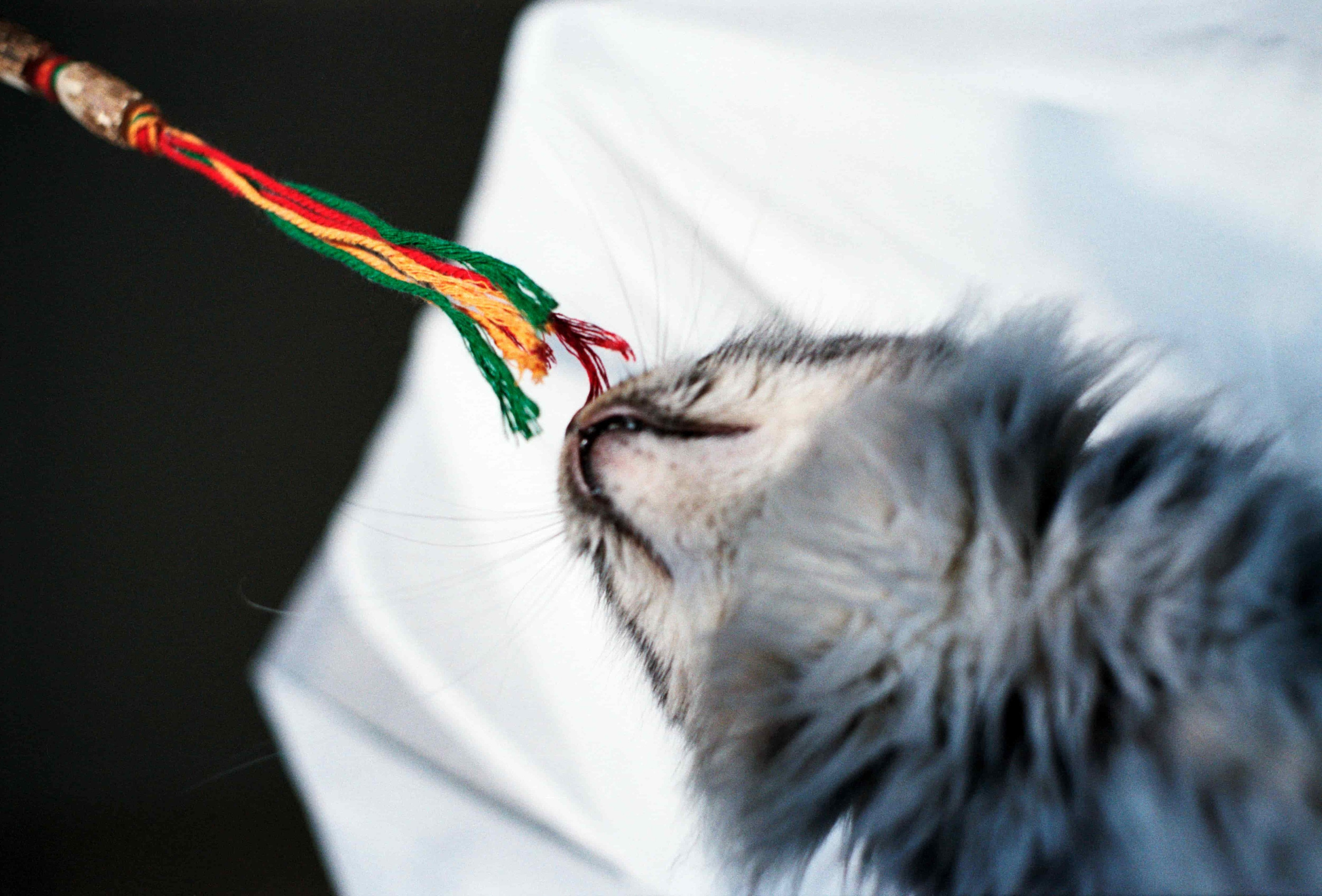 B. Стилист и плёночный фотограф Анастасия Шлокова в Санкт-Петербурге и Москве