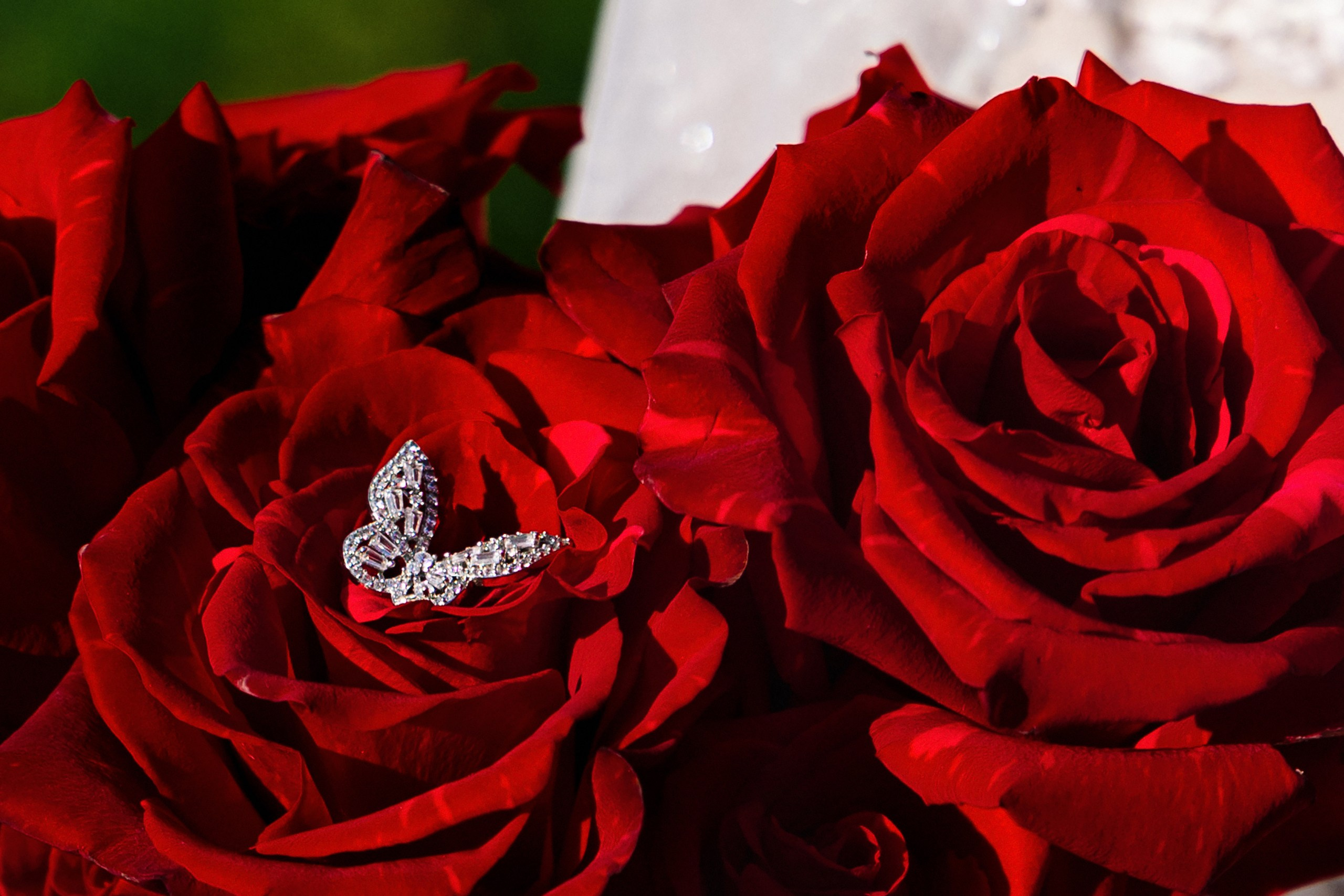 Лилия & Антон. Свадебный фотограф в Томске Екатерина Дмитриева