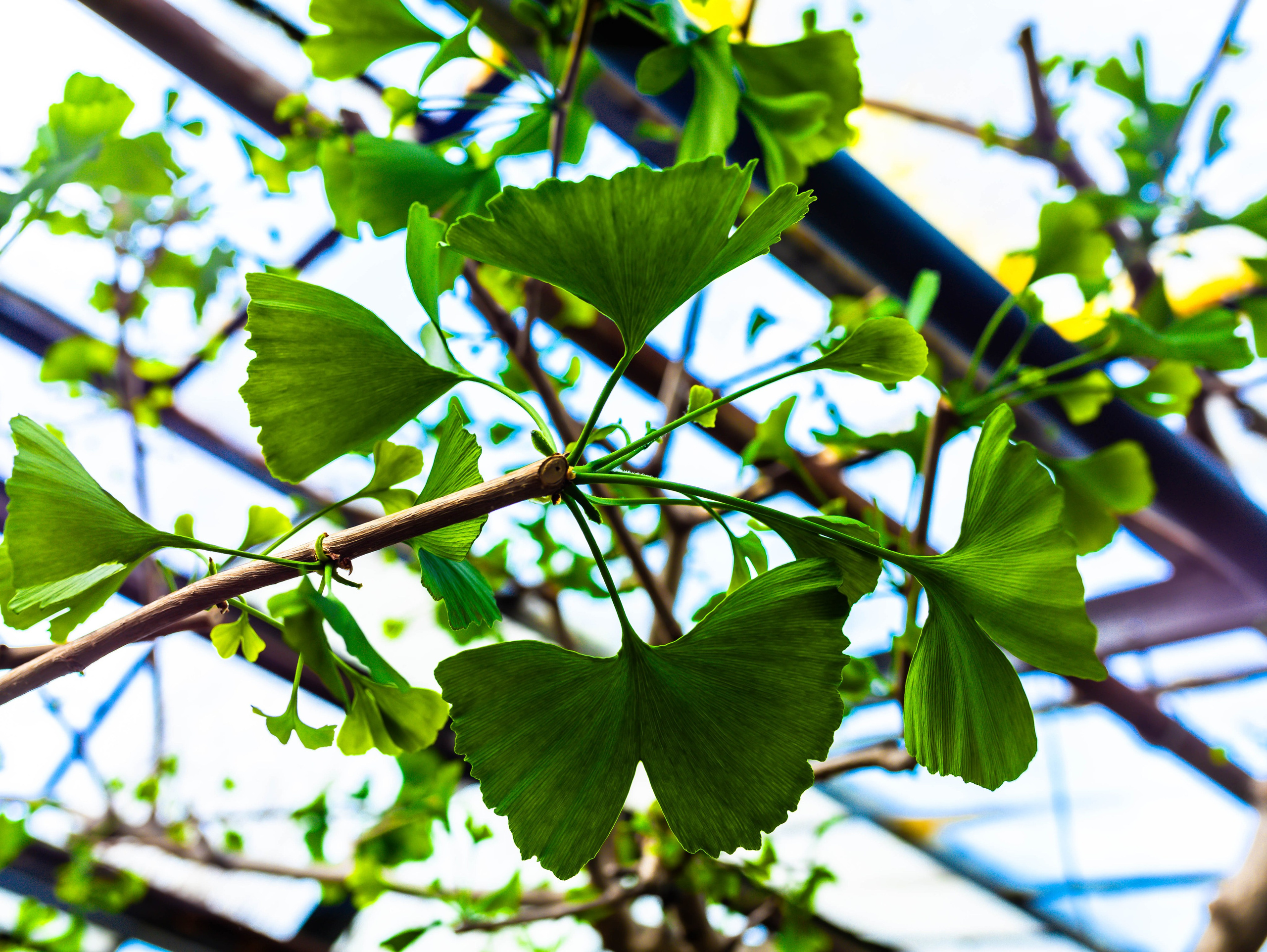 Фотографии природы Липецка. Свадебный и семейный фотограф Виолетта в Липецке