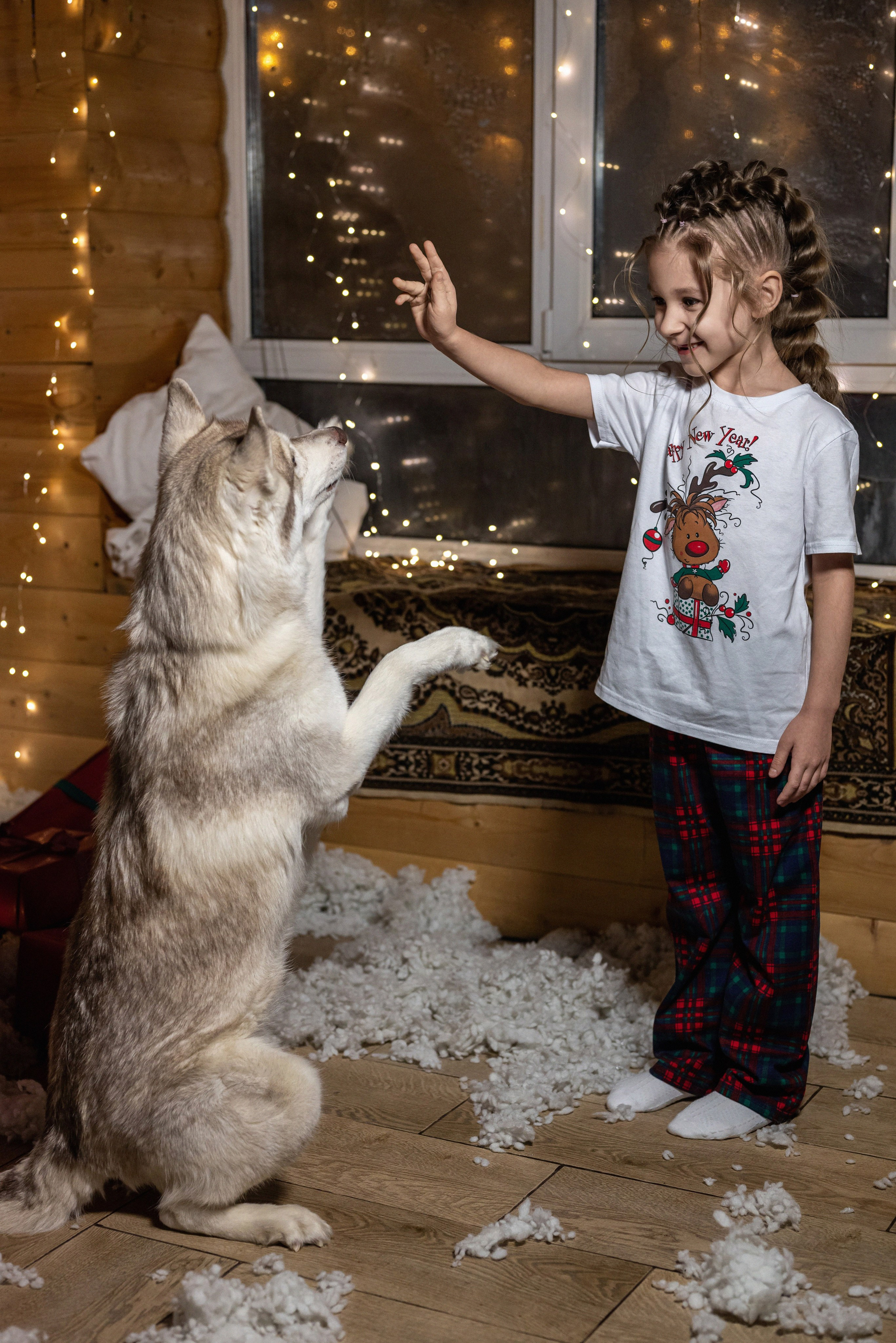 Фотопроект с хаски 2024 г. Фотограф в городе Салават