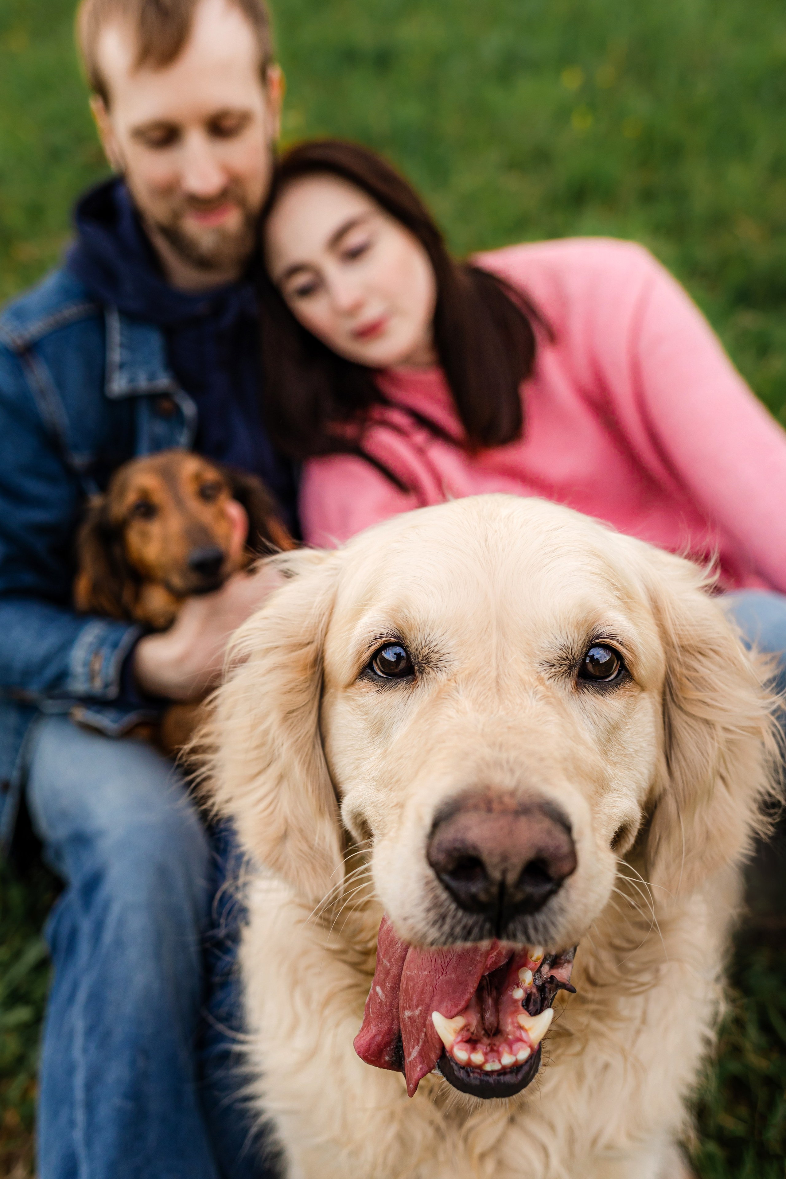 Как я выбираю, на какой объектив снимать животных?