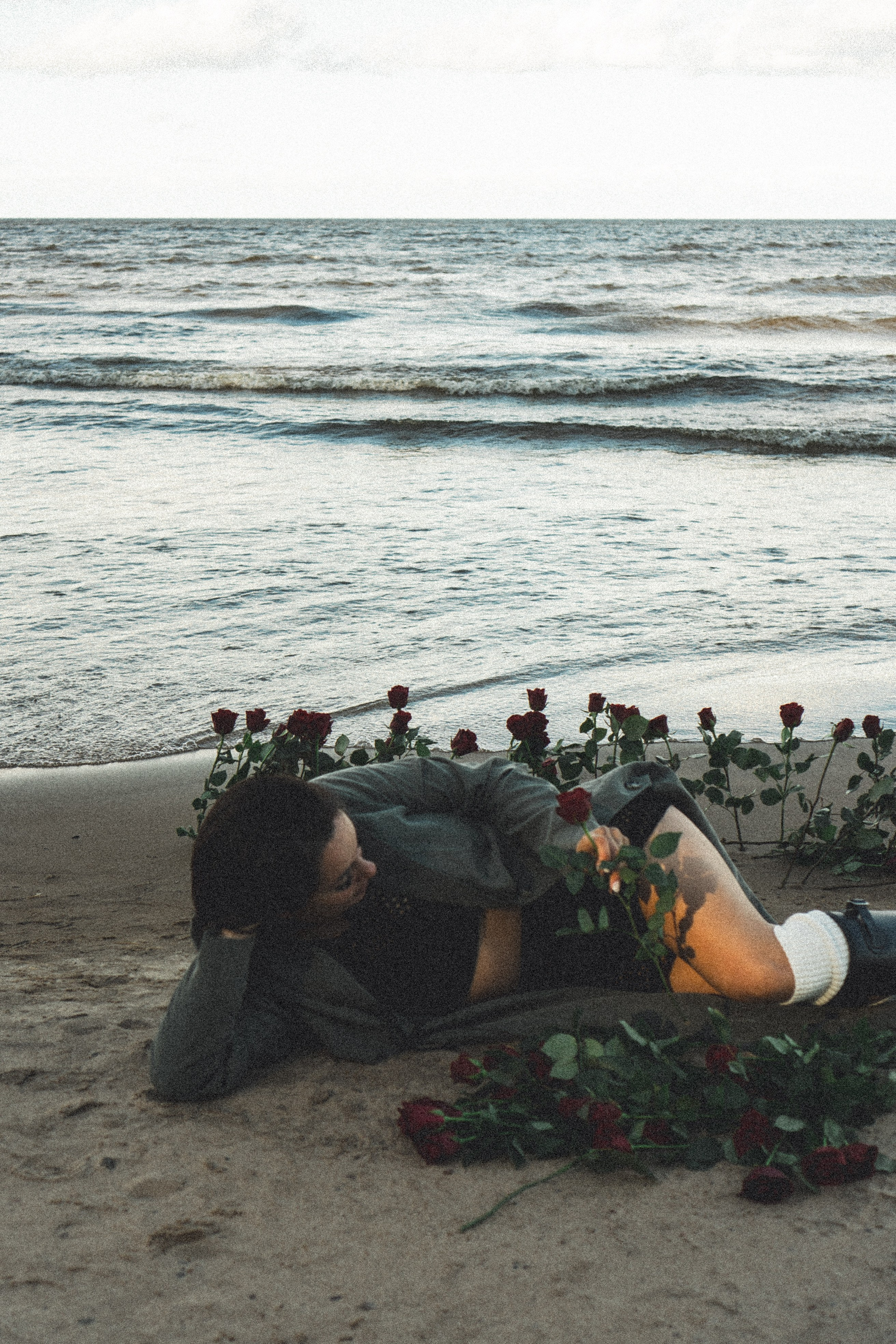 Розы. Профессиональный фотограф, Санкт-Петербург — Виктория Богомолова