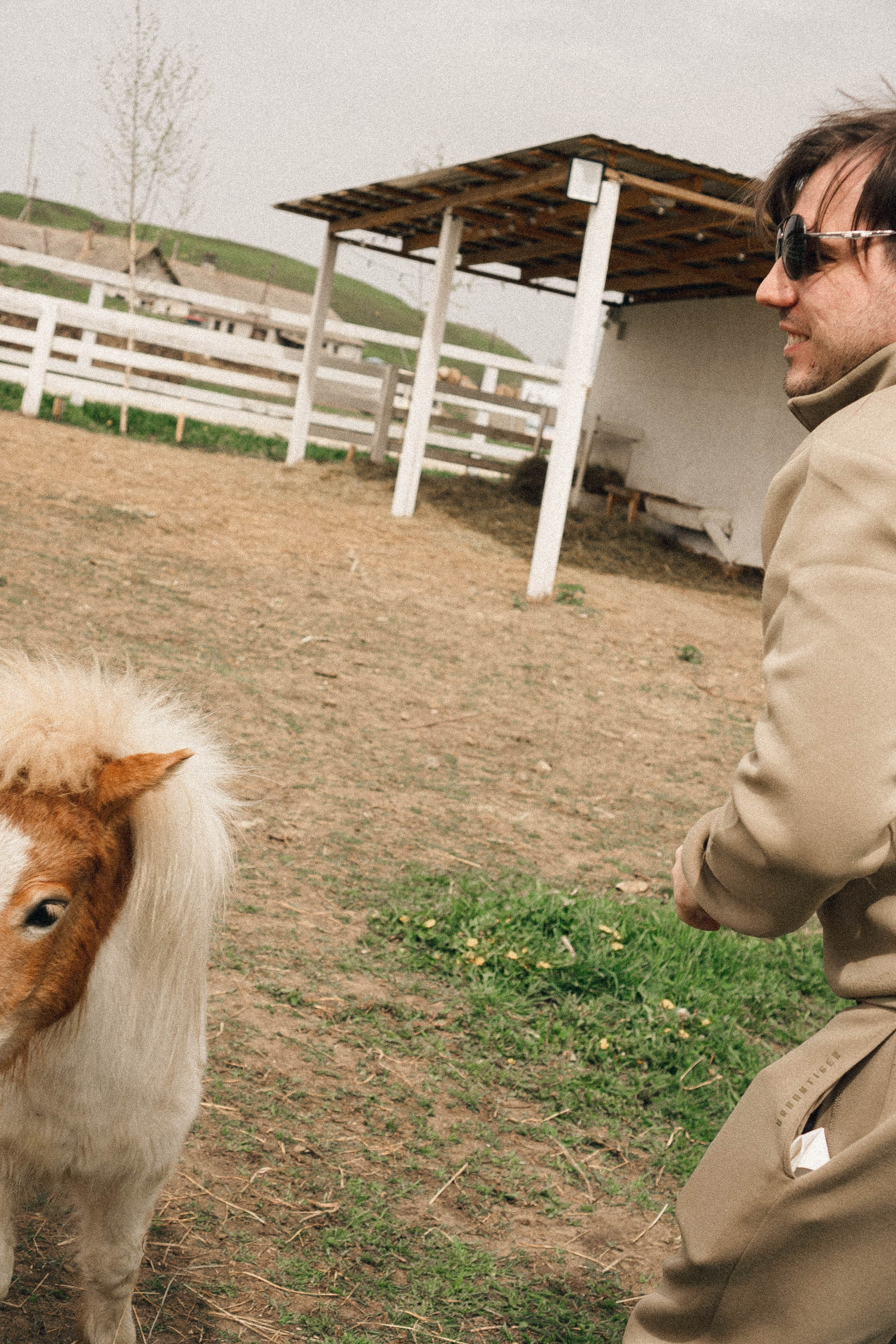 Ферма Альпак. Профессиональный фотограф, Санкт-Петербург — Виктория Богомолова