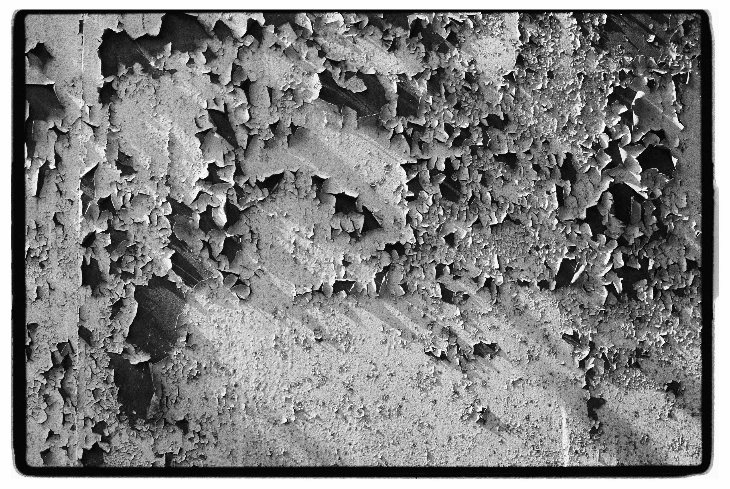 Зерно. Фотограф Александр Медведев