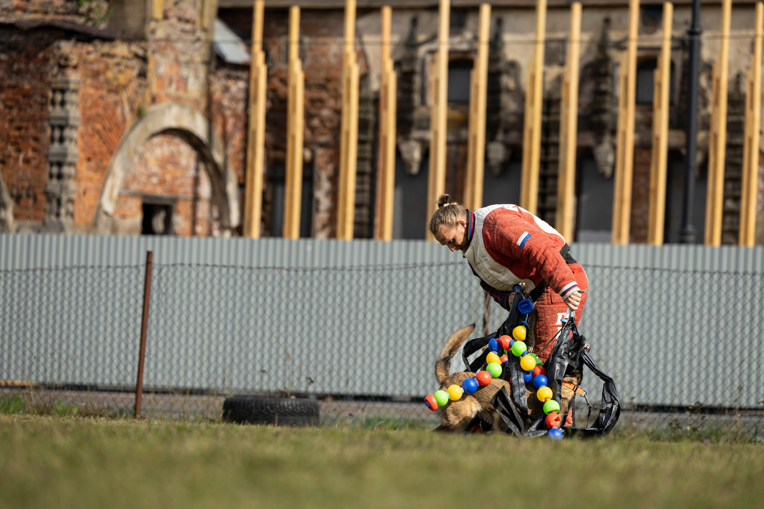 Испытания по Мондьорингу г. Пушкин. Фотограф-анималист Анна Маринич