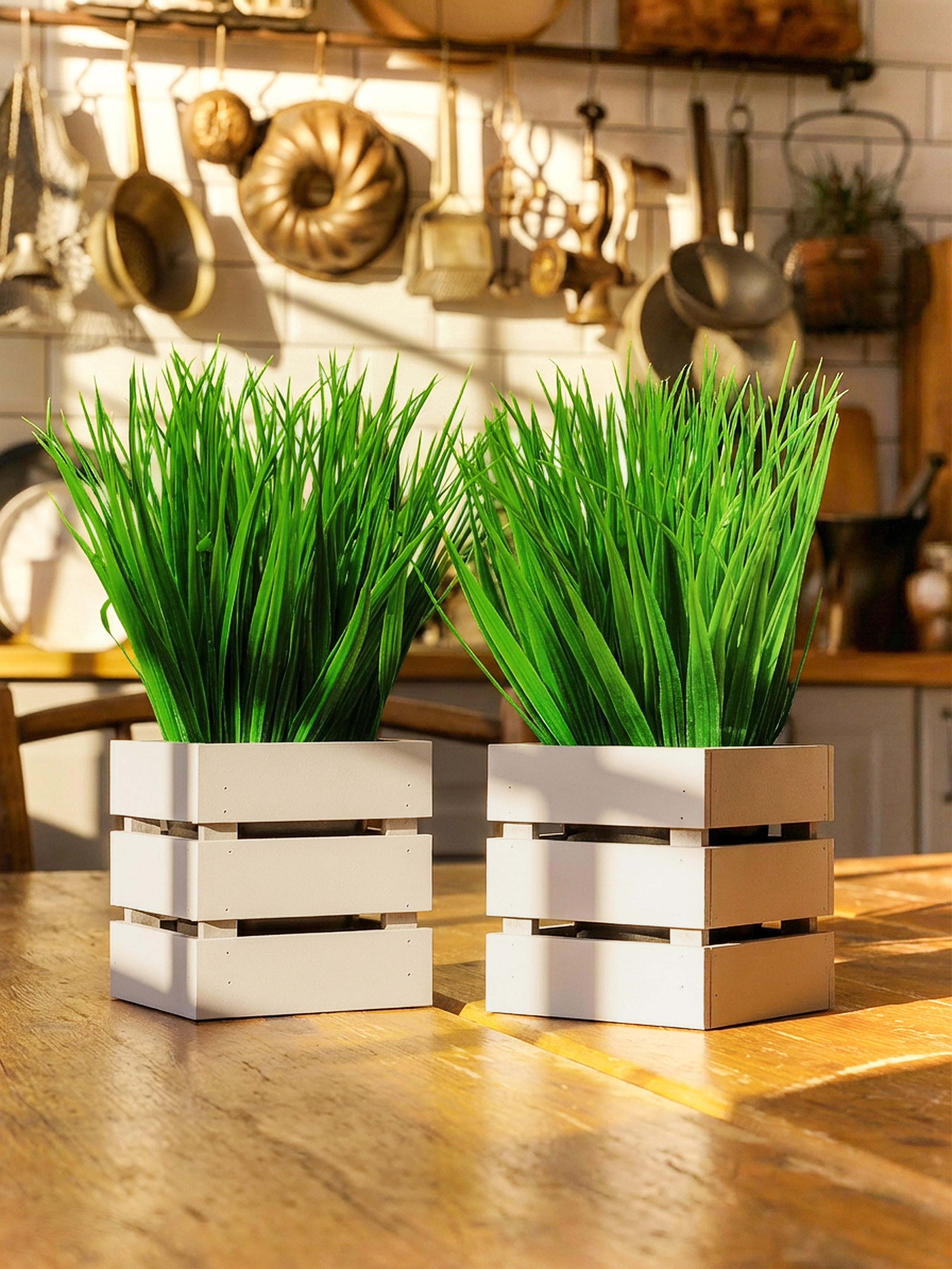 Кашпо. Макаров Сергей|Creamlebot Фотограф города Ростов-на-Дону