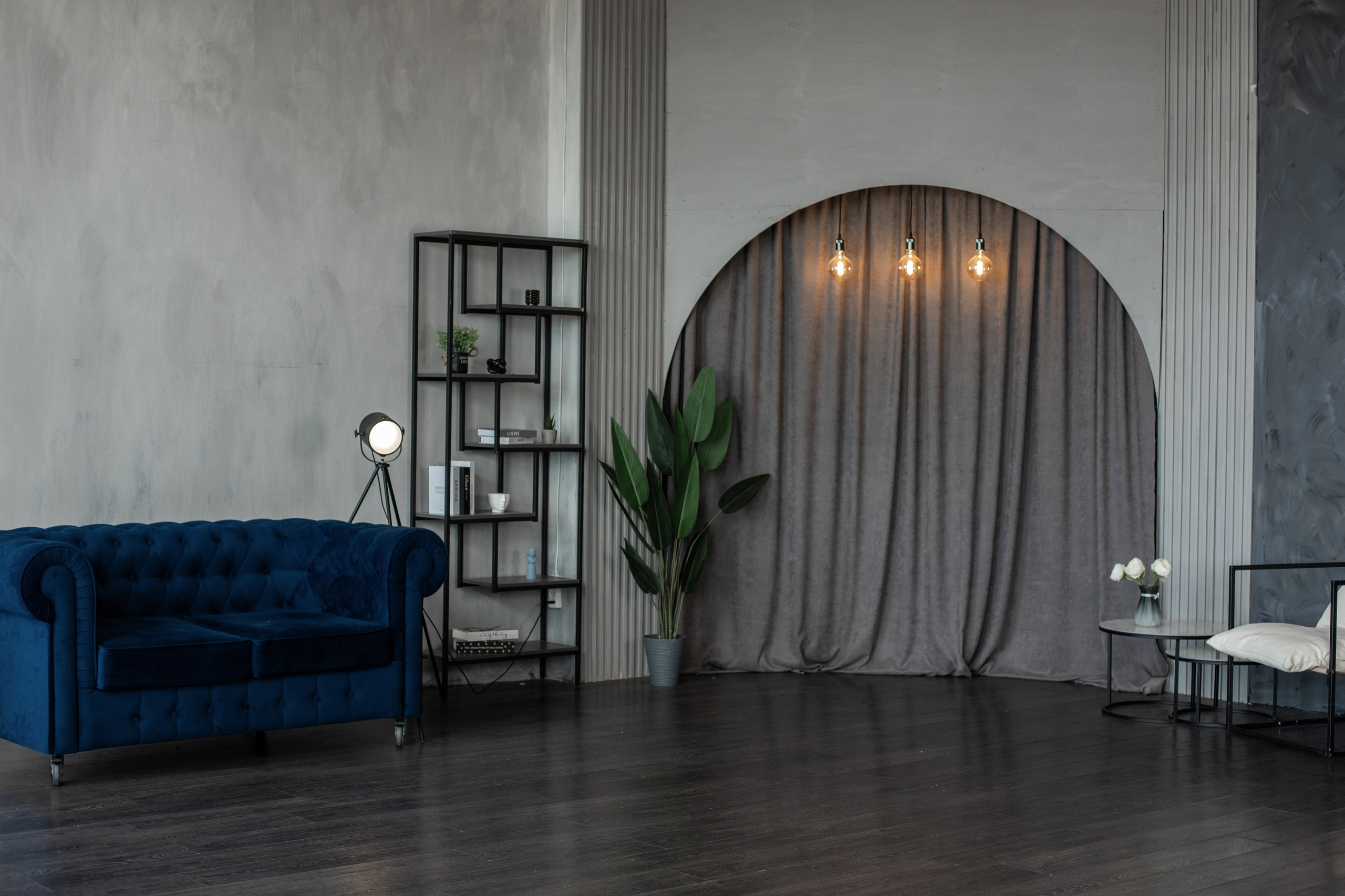 Честер (студия Зеркало). Фотограф г. Хабаровск. Семейные и индивидуальные съёмки