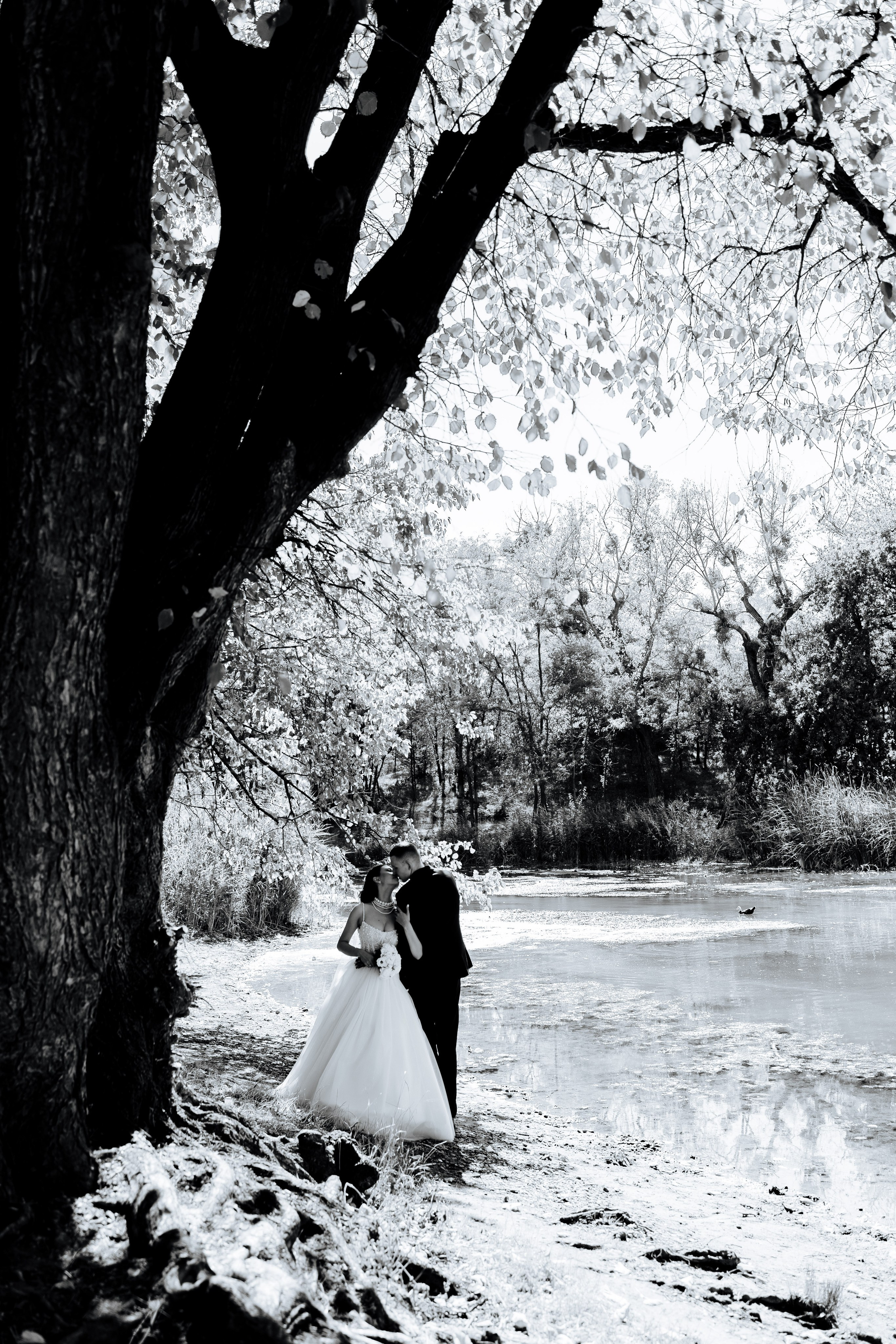 Свадебные снимки. Профессиональный фотограф и видеооператор