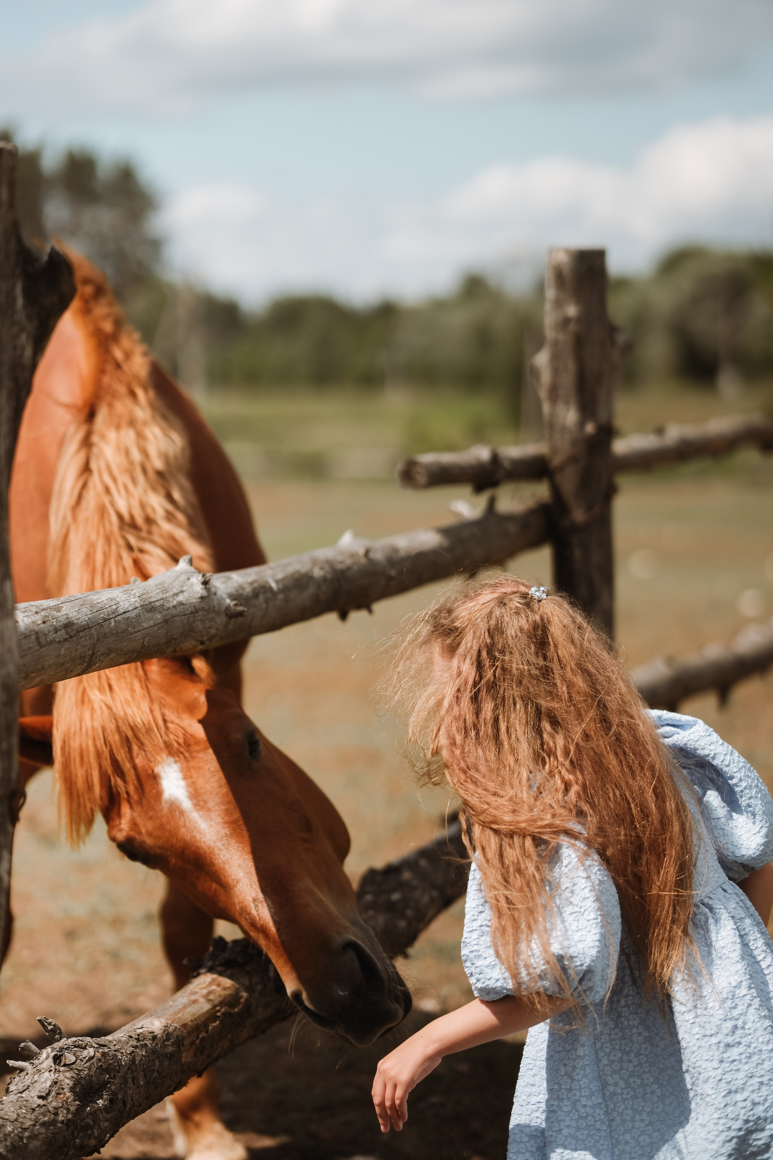 Фотосессия для деовчек!. Фотограф новорожденных в Брянске Анжелика Прохоренкова
