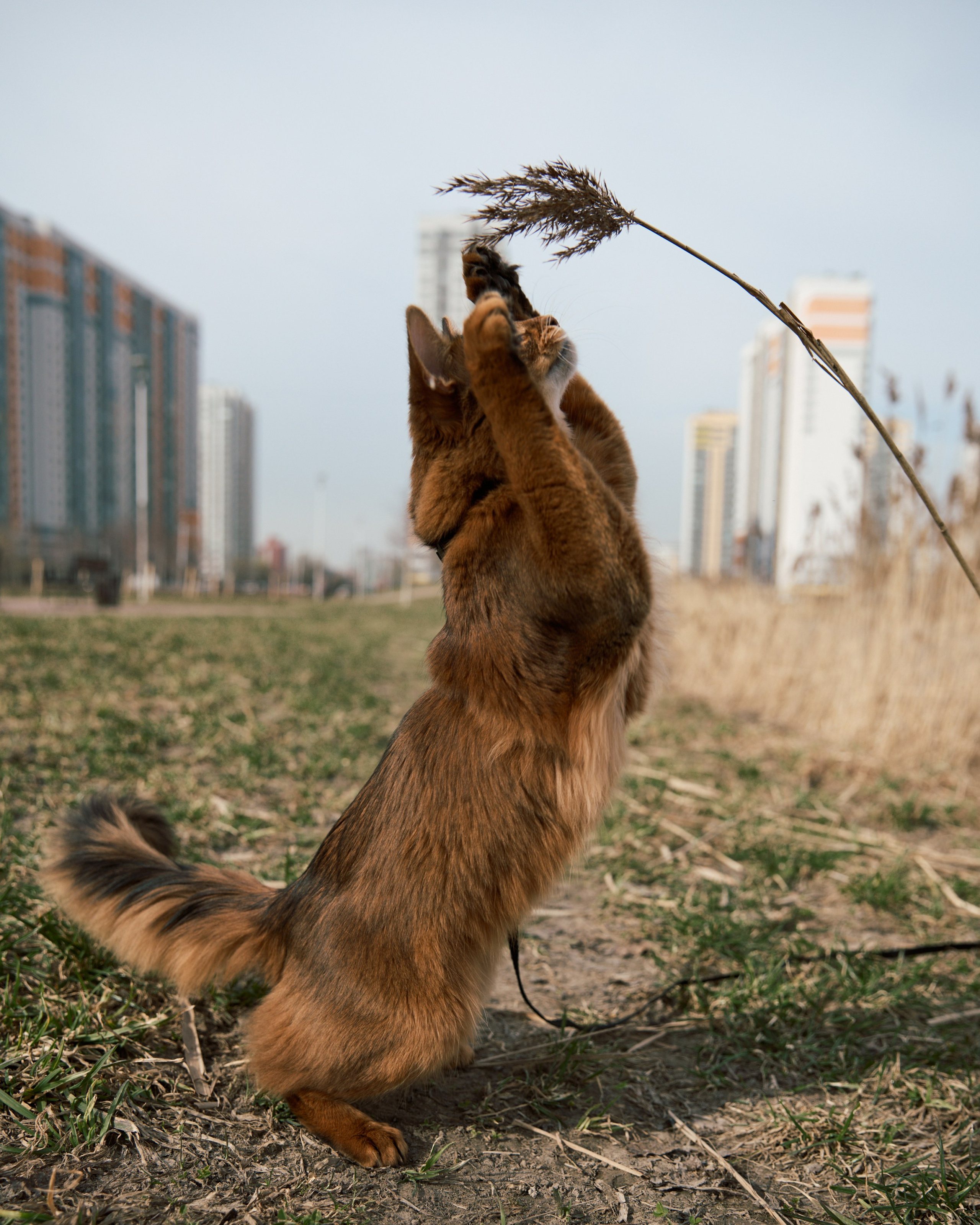 Rufus. Творческий фотограф в Санкт-Петербурге — Никита Шохенмайер