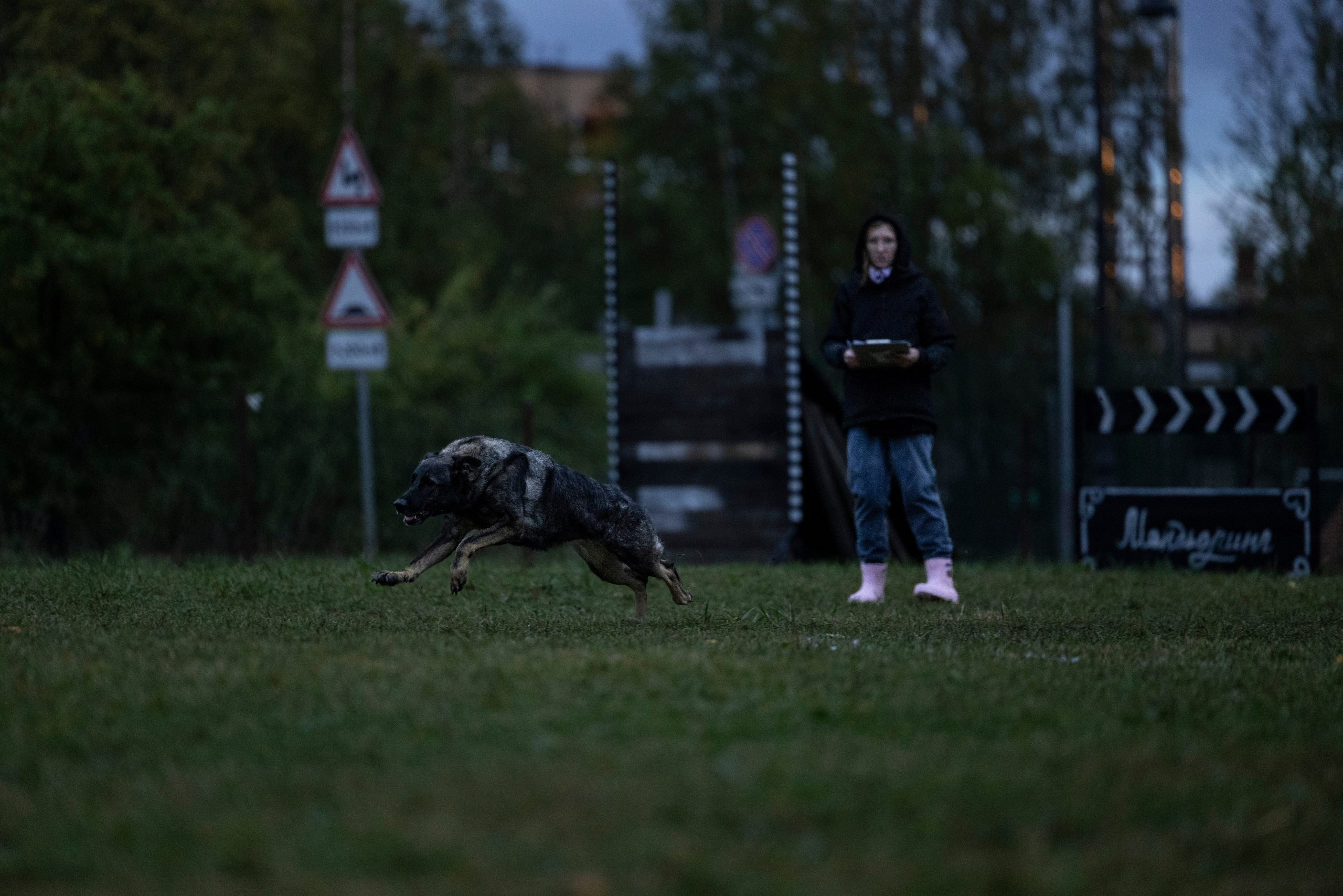 Испытания по Мондьорингу г. Пушкин. Фотограф-анималист Анна Маринич