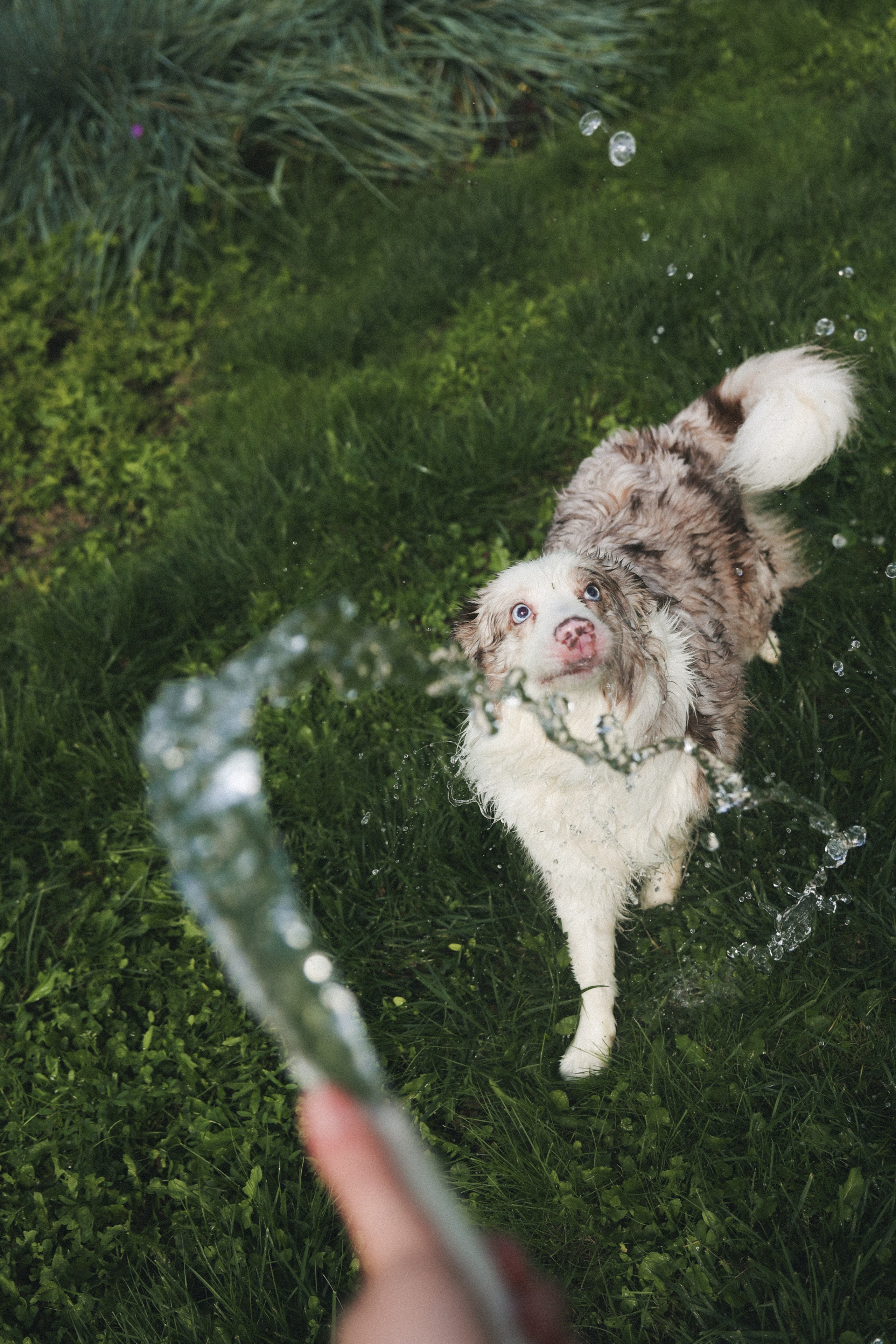 Мокрые девчонки. Фотограф НатаФото (Наталья Яковенко) Дмитров Москва Питер