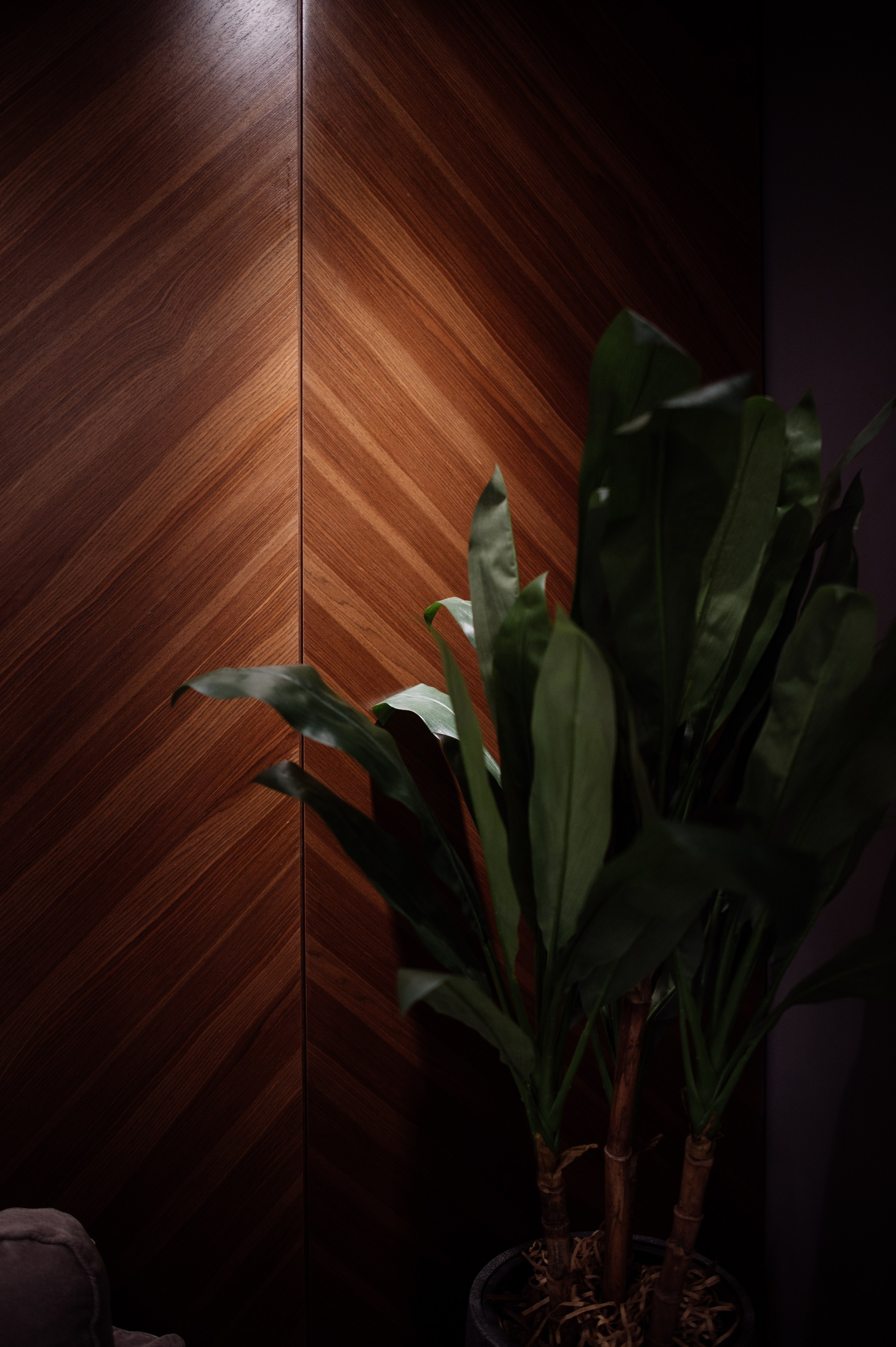 Свадебная фотосессия в Овстуге и Дятьково. Свадебный и репортажный фотограф видеограф Брянск/Москва