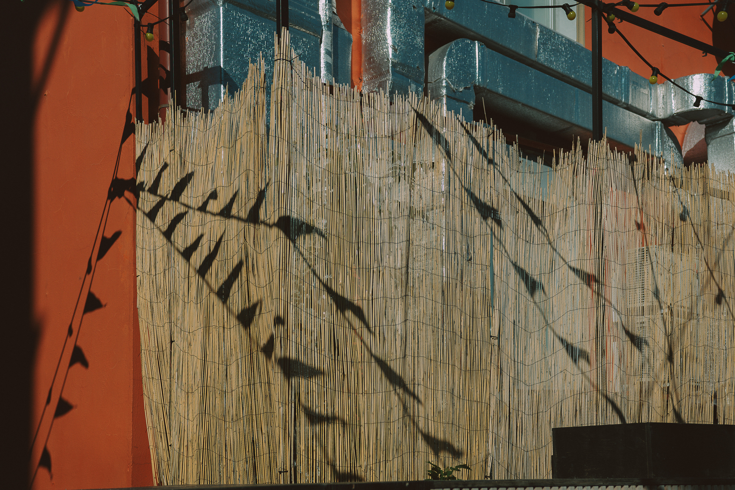 Валентин. Фотограф Дарья Мустафина, Тюмень