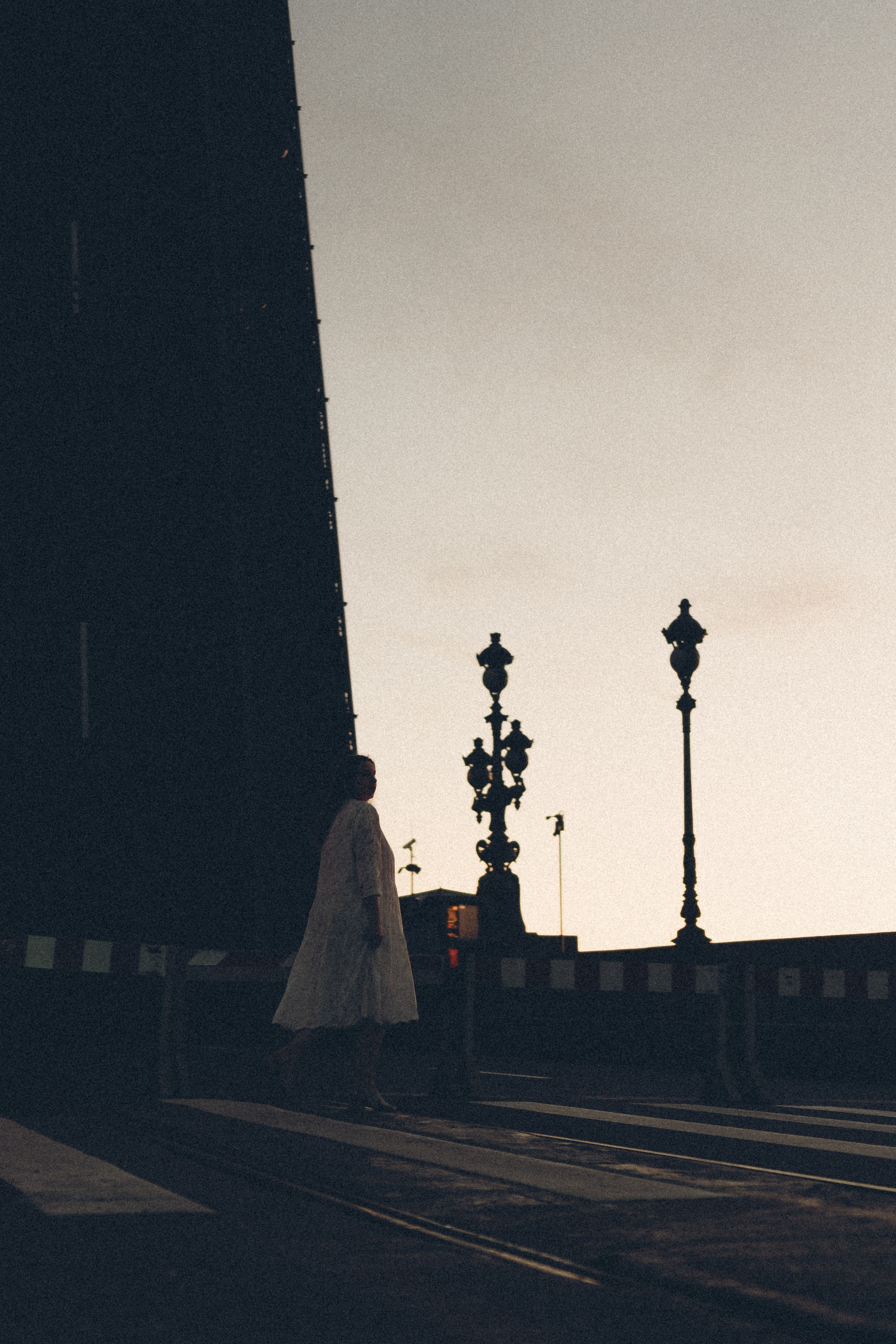 РАССВЕТ С РАЗВОДНЫМИ МОСТАМИ. Профессиональный фотограф, Санкт-Петербург — Виктория Богомолова