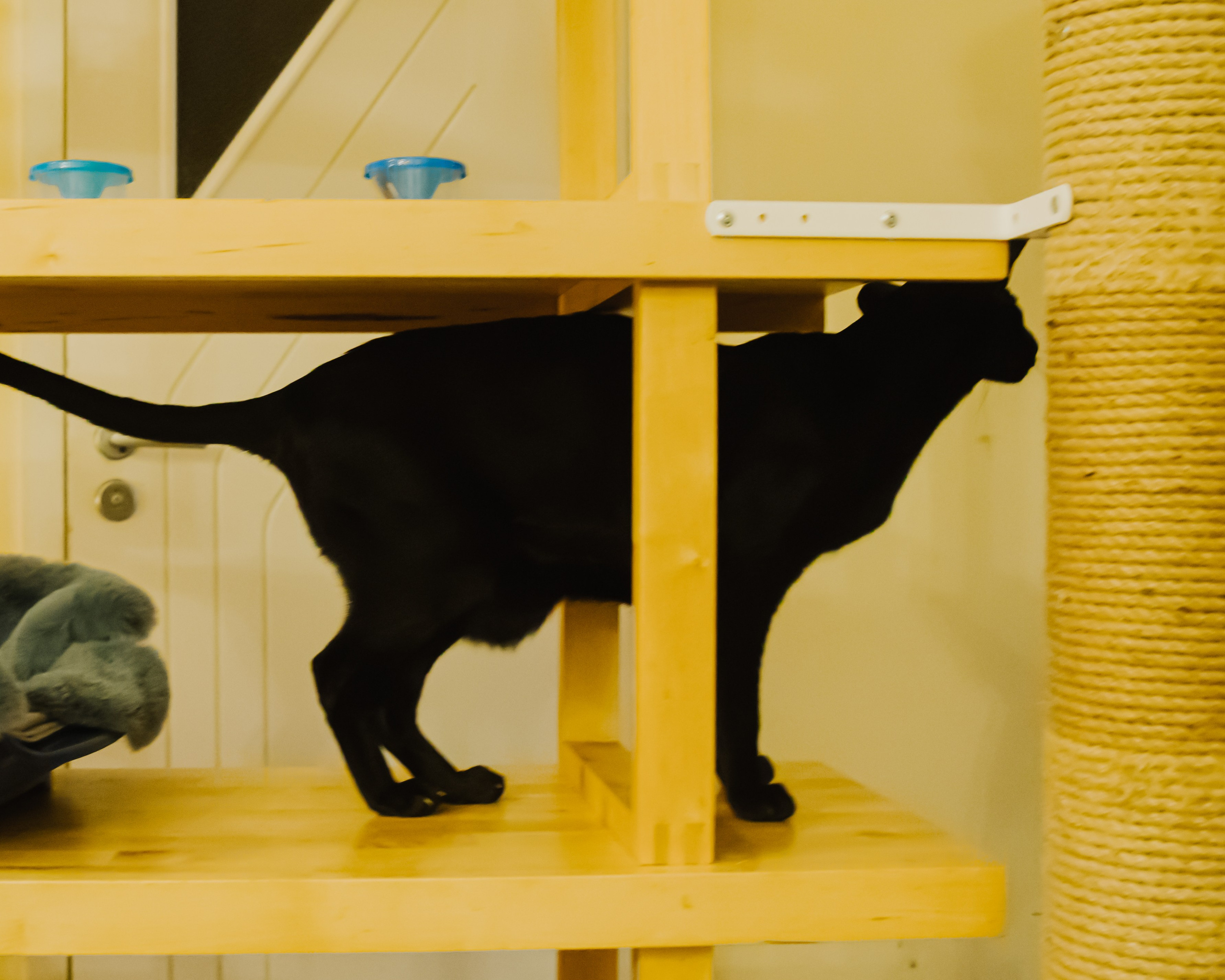 Гилдин. Портретный фотограф Ванинен Анастасия. Санкт-Петербург