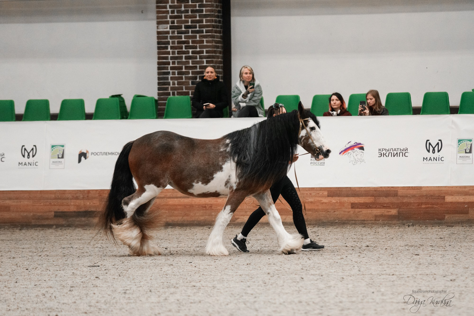 8-я международная выставка Конная Россия. Конный фотограф Куракина Дарья • Фотосессии с лошадьми