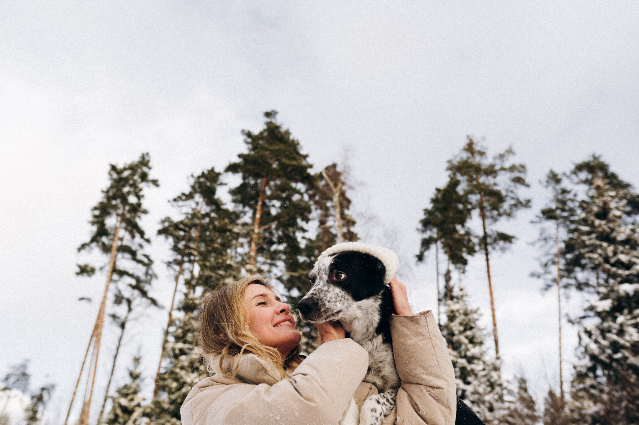 Аня и Милан. Фотограф анималист в Москве Ольга Агушева