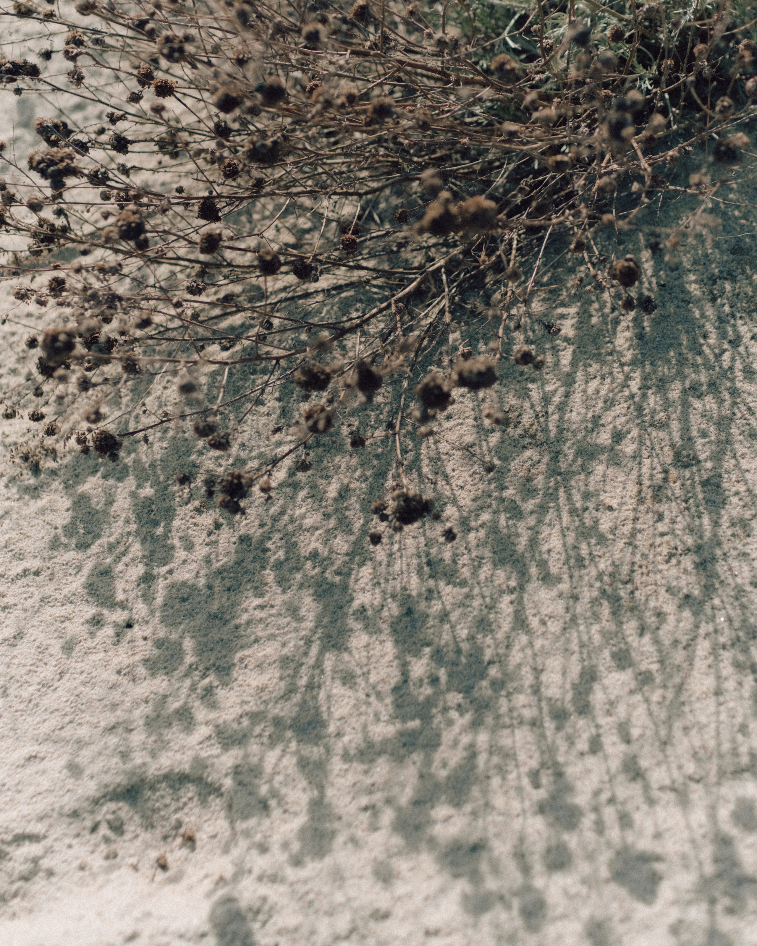 Kristina. Фотограф Ксения Дзюбак Самара-Москва