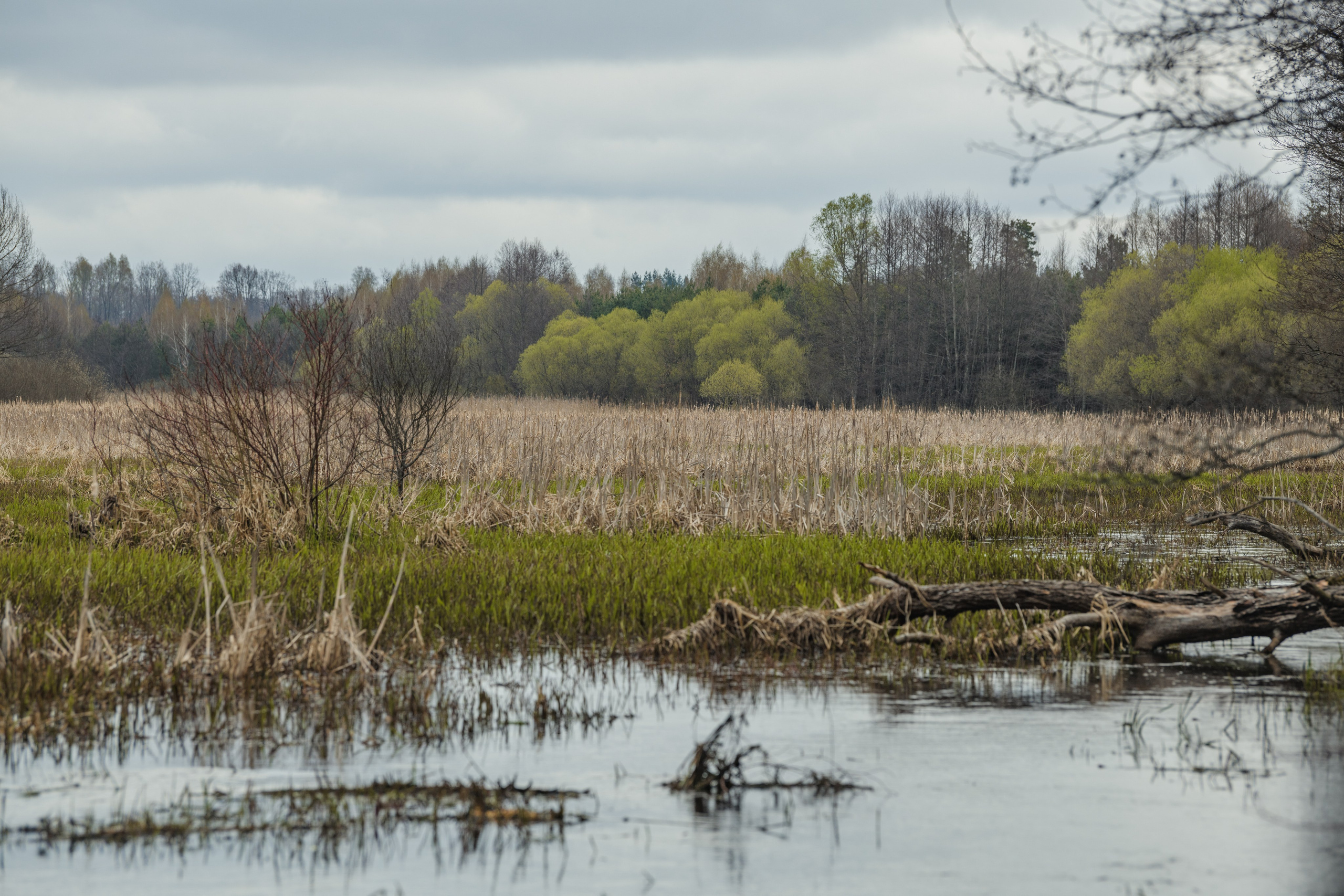 Разведка нового маршрута. Репортажный фотограф Владимир Беляй