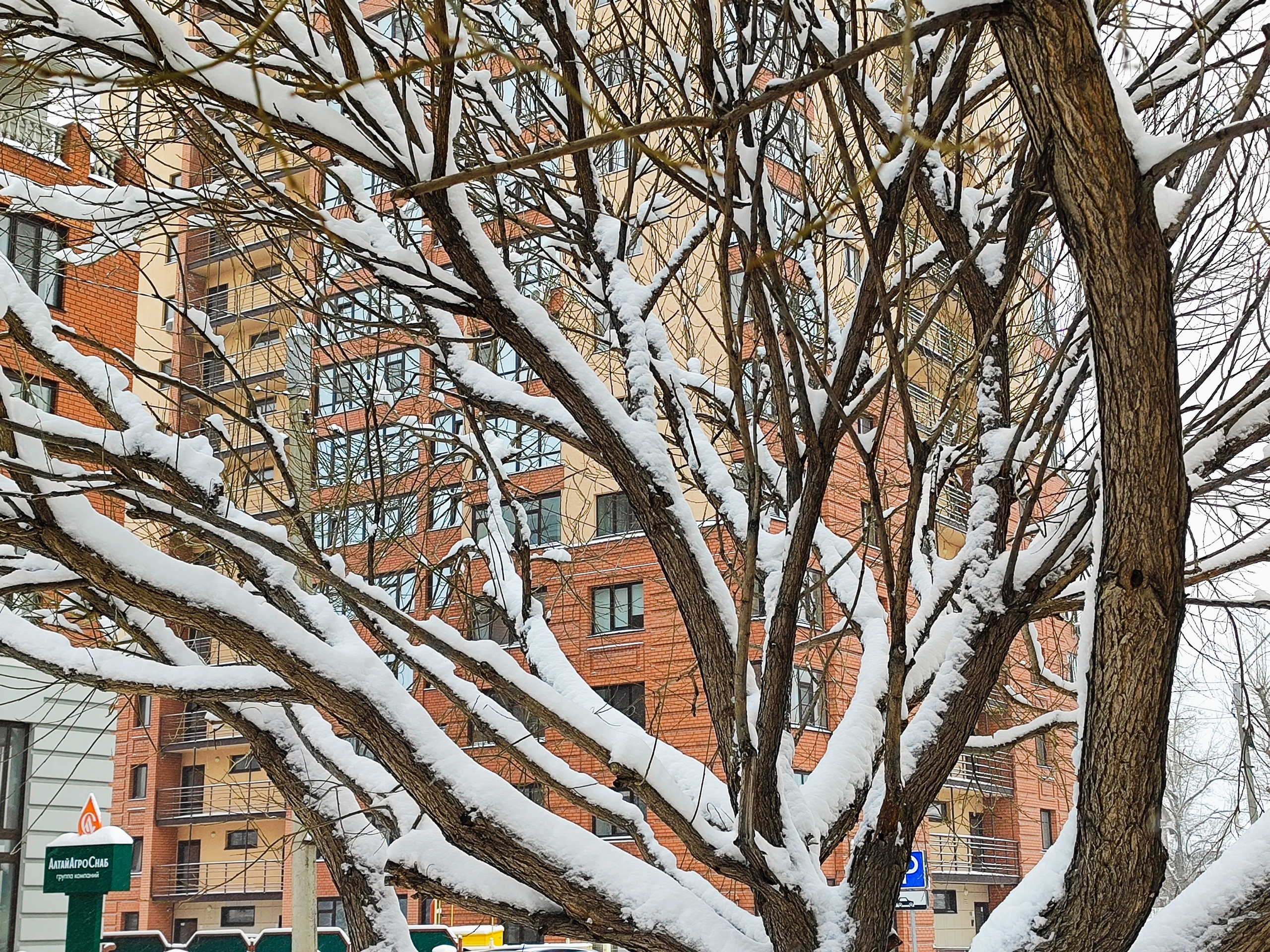 Архитектура