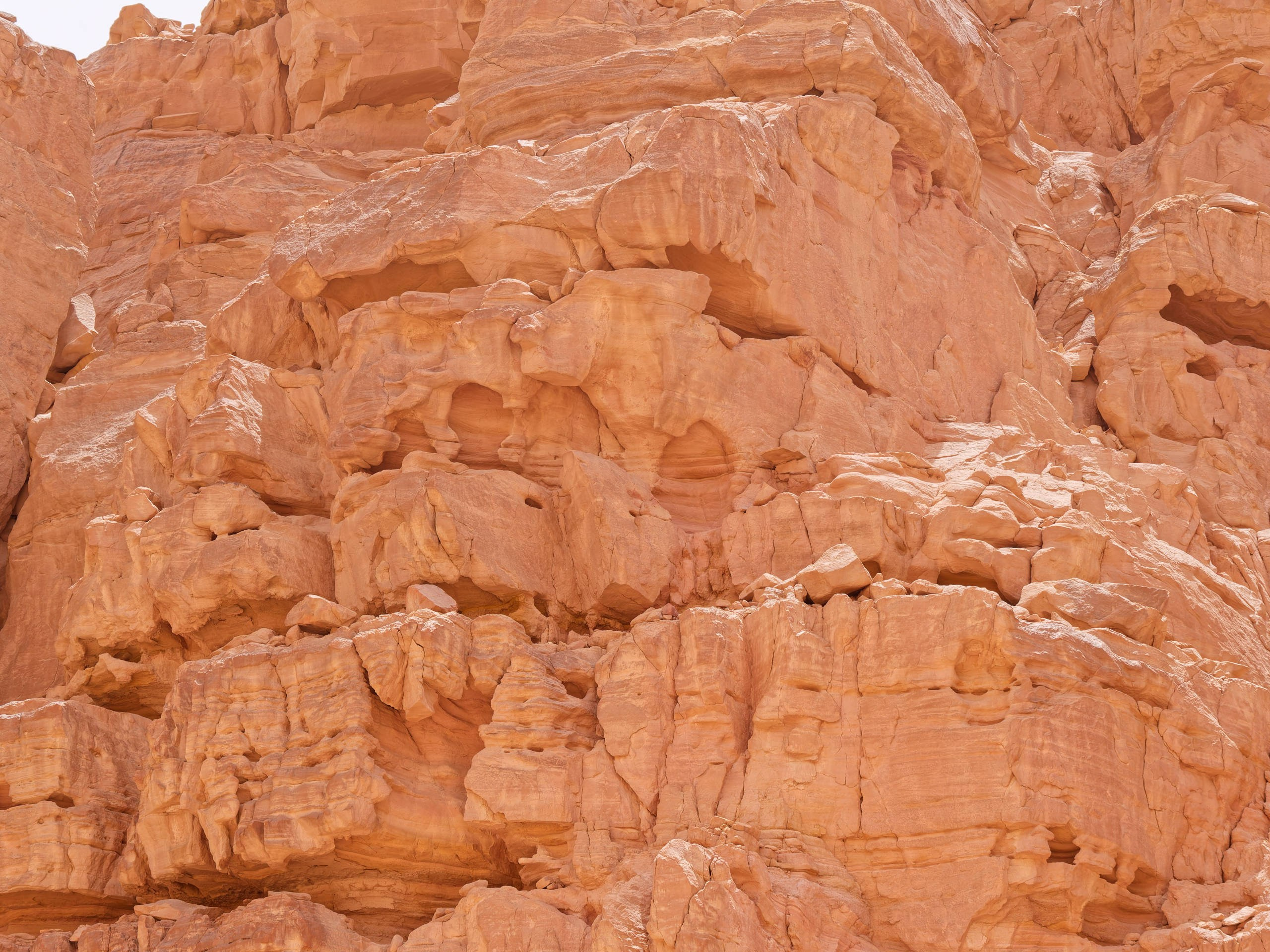 Шарм-эль-Шейх 2022, сафари. Избранные фотографии