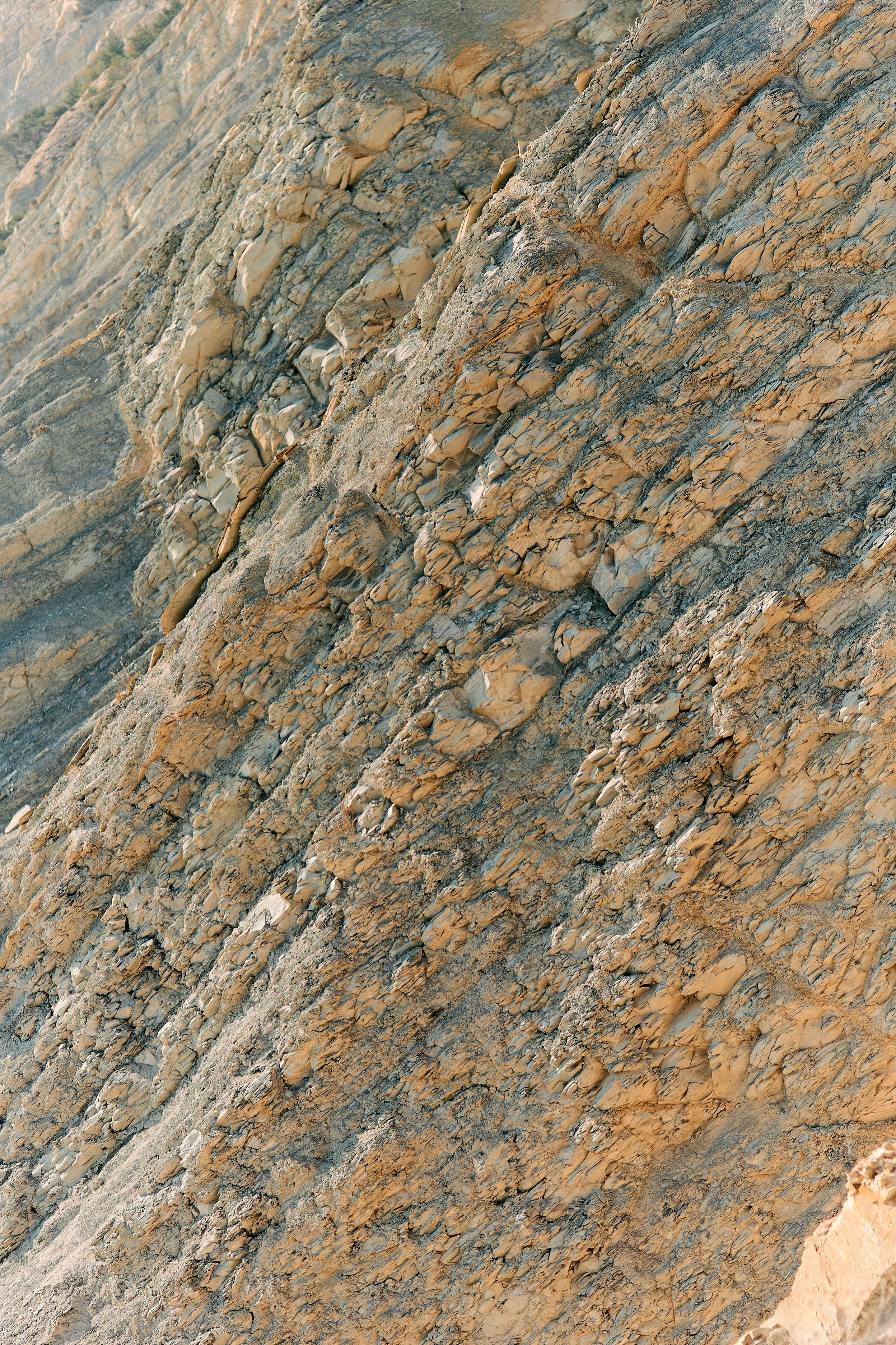 Юг России. Профессиональный Фотограф во Владимире, в Москве и в Суздале — Полина Романычева