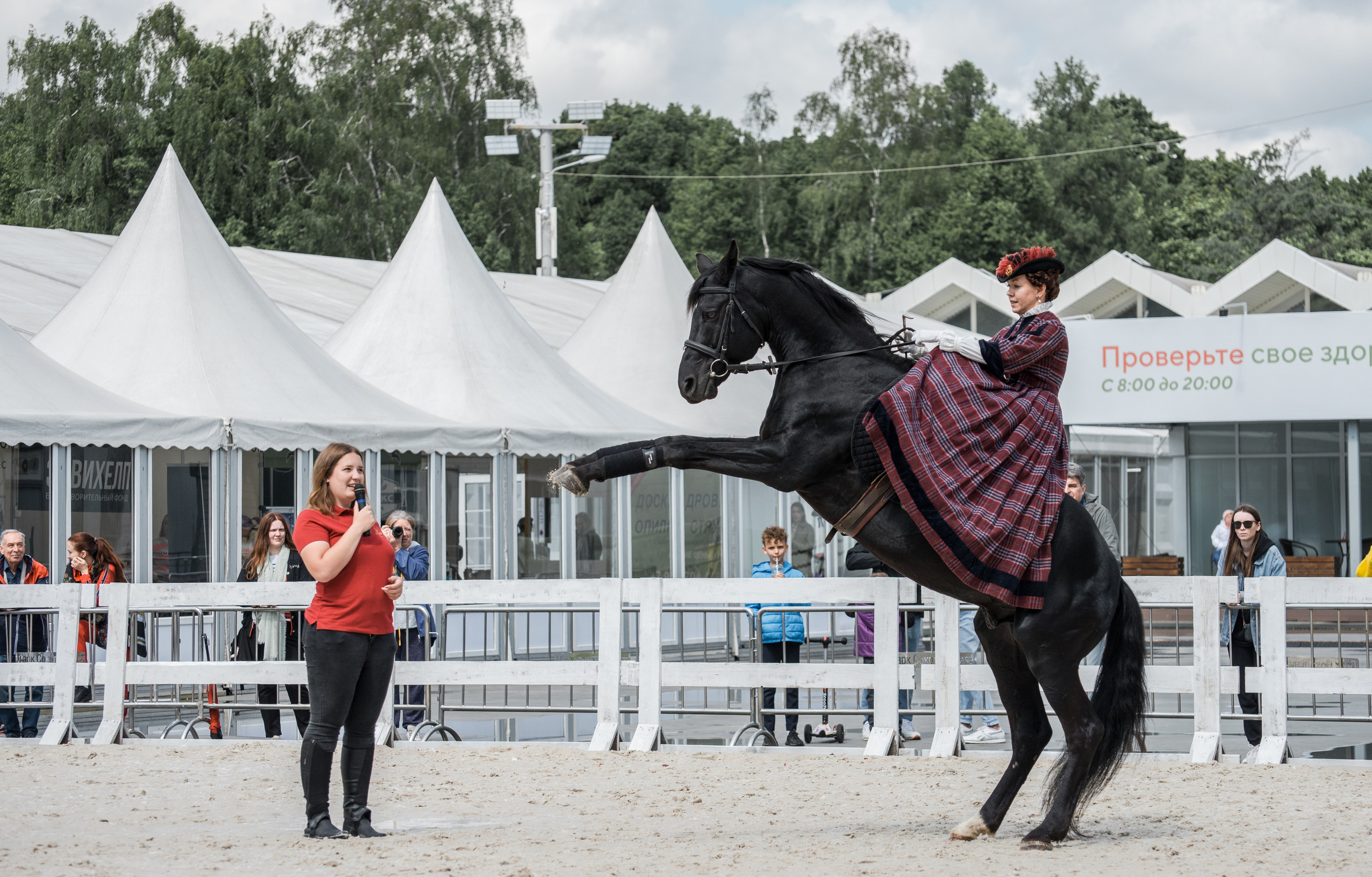 Эквирос, Москва. Конный фотограф в Саратове Юлия Иванова