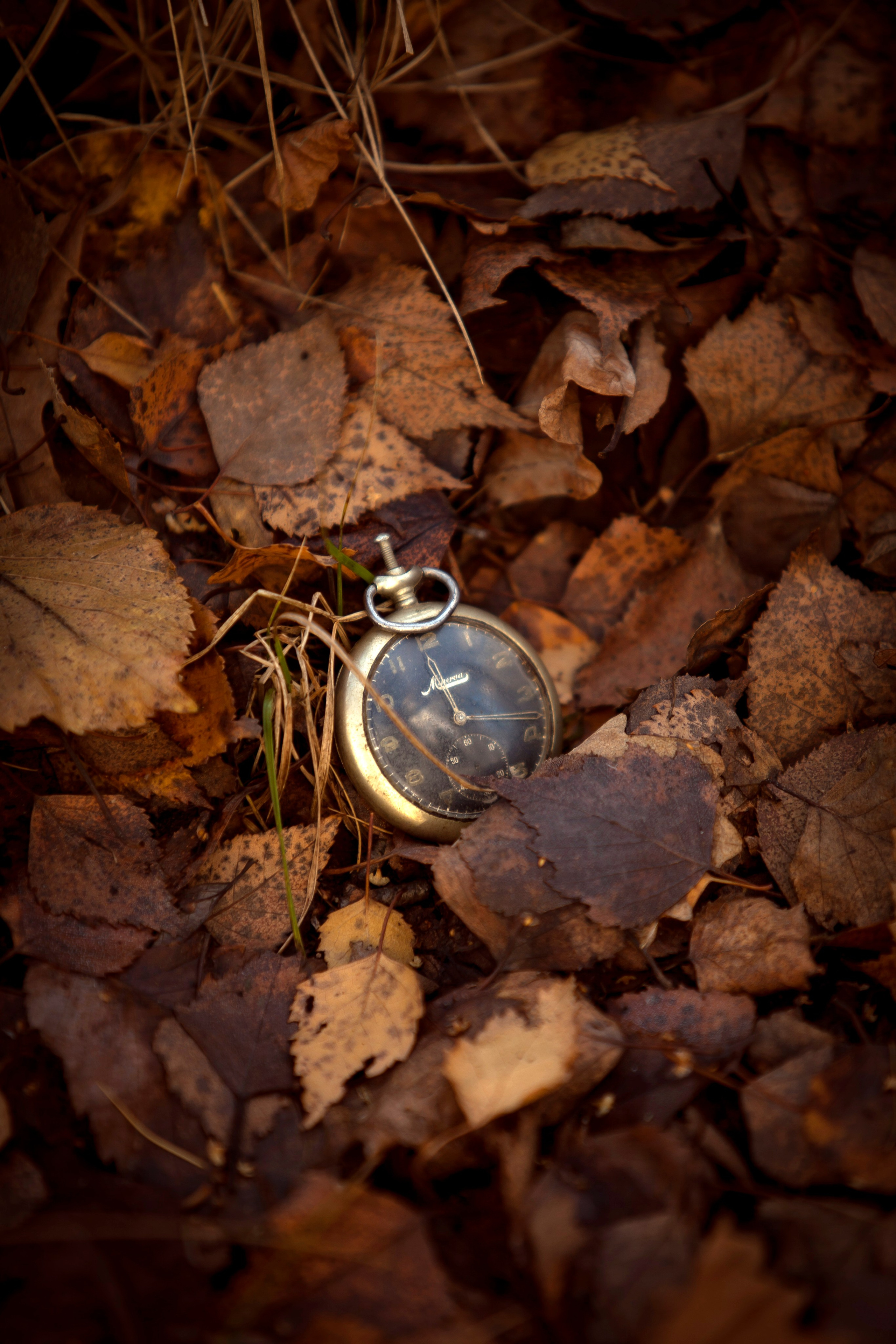 Witch. Фотограф Мария Кольцова