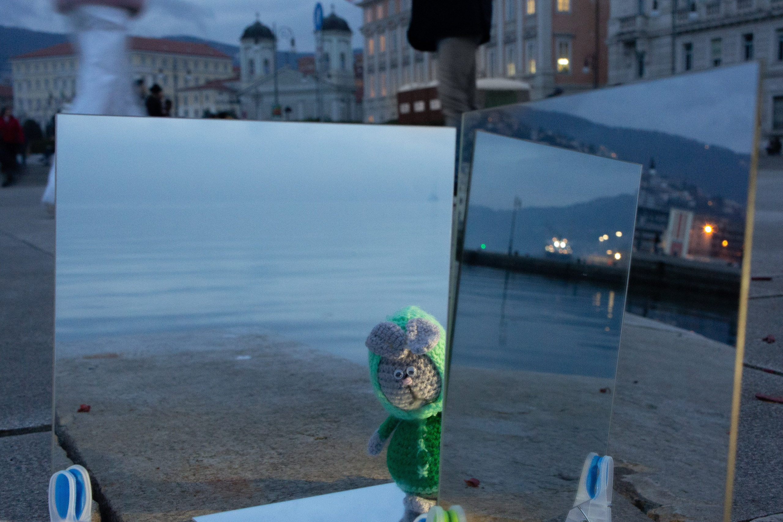 Mio leprotto. Fotografo Alina Imanbaeva Trieste e FVG