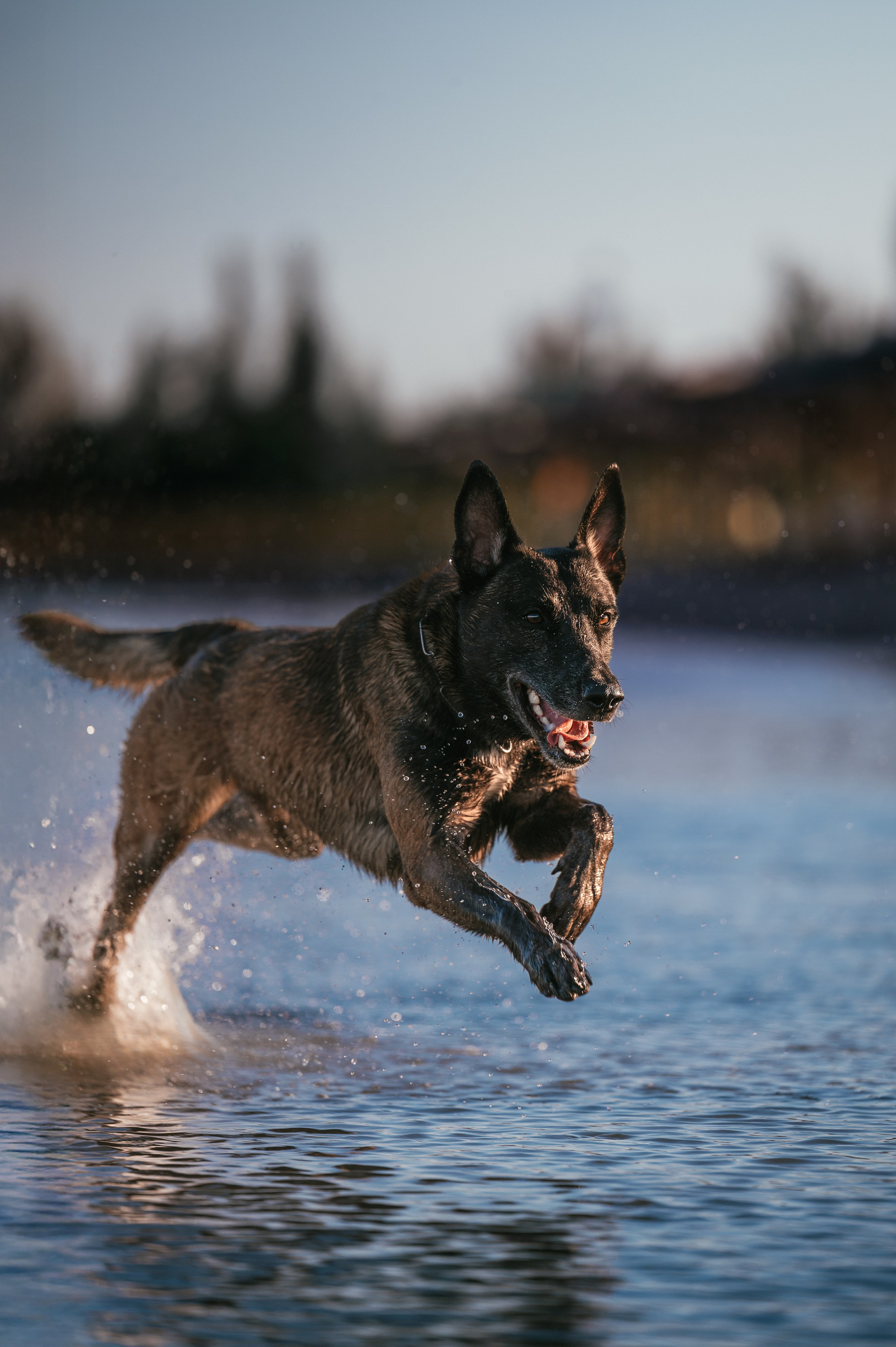Вечер на заливе. Фотограф в Ростове —на — Дону