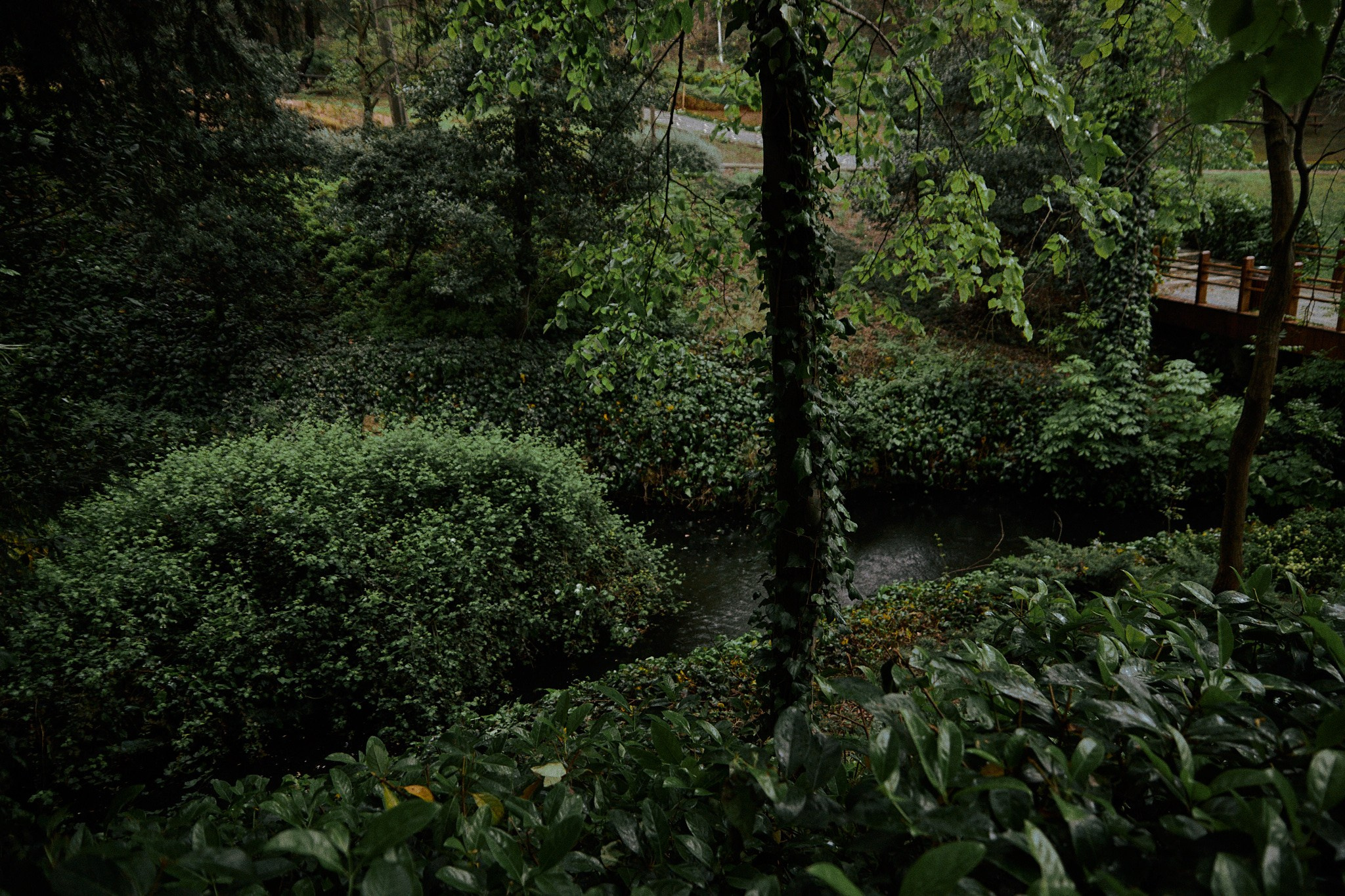 Улица горизонтальная. Jorgis — фотограф в Хургаде / обучение фотографии