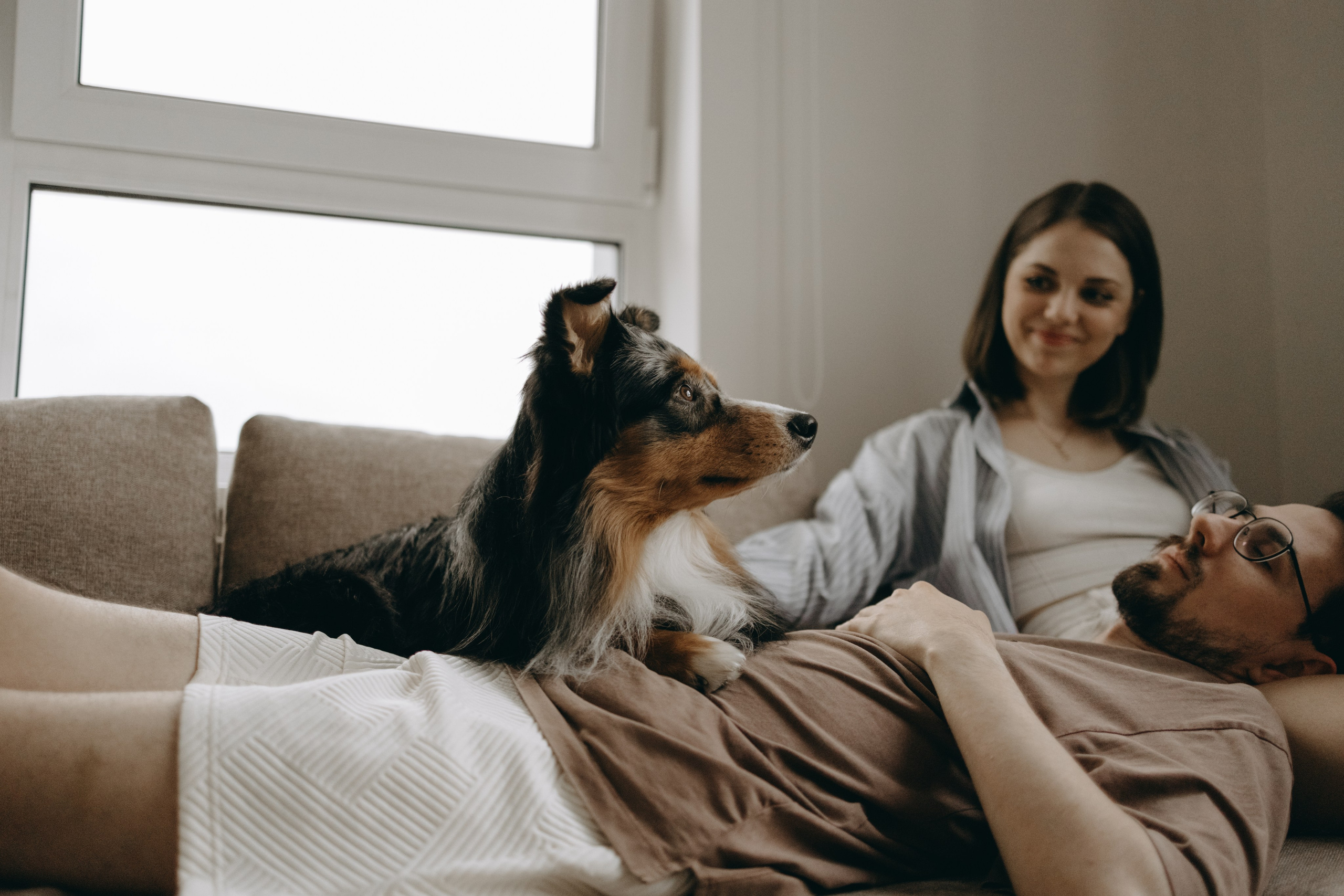 Настя, Никита и их Гром и Мяу. Фотограф — Анималист | Санкт-Петербург