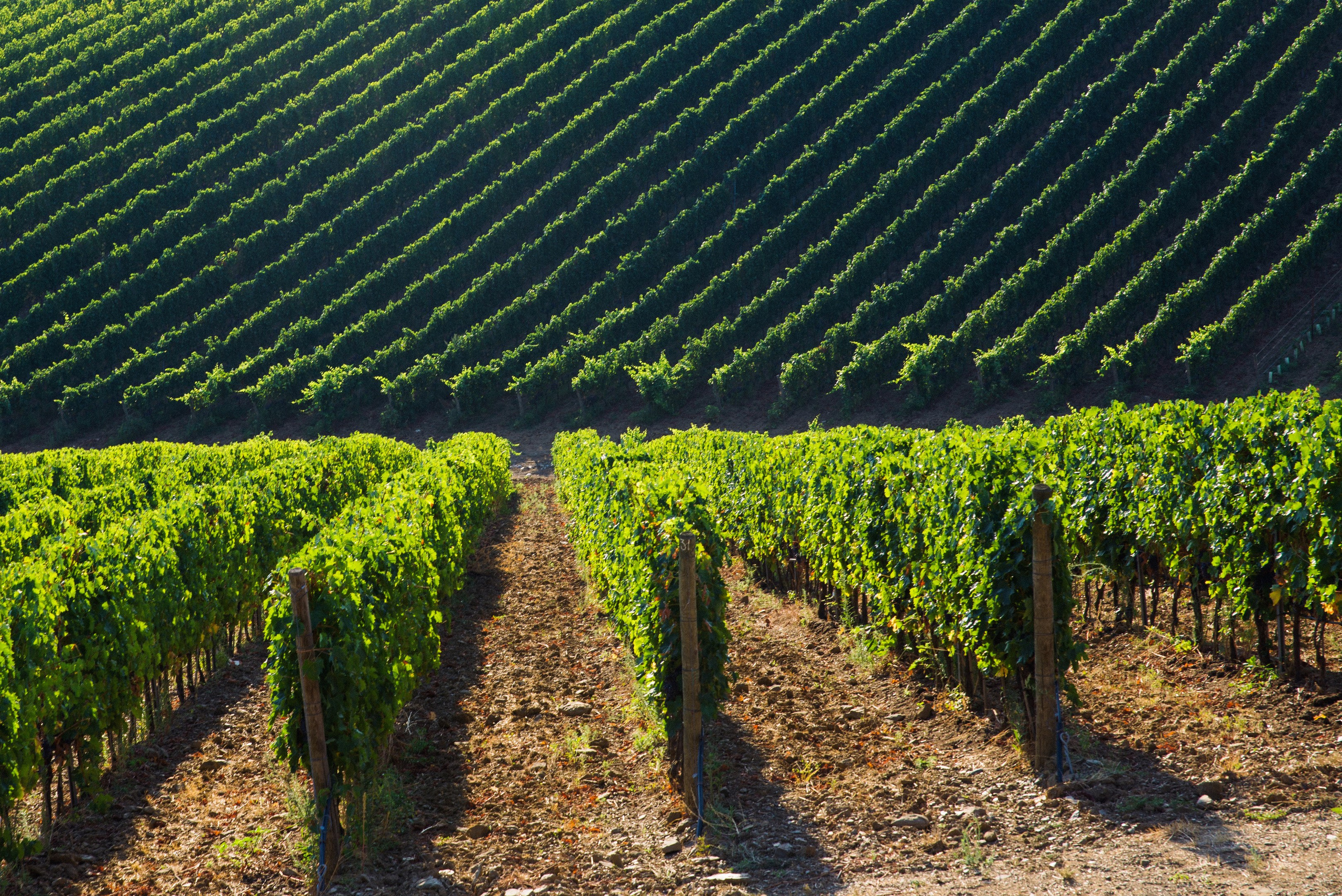 Фотографии Италии. Фотографии Дмитрия Захаренко