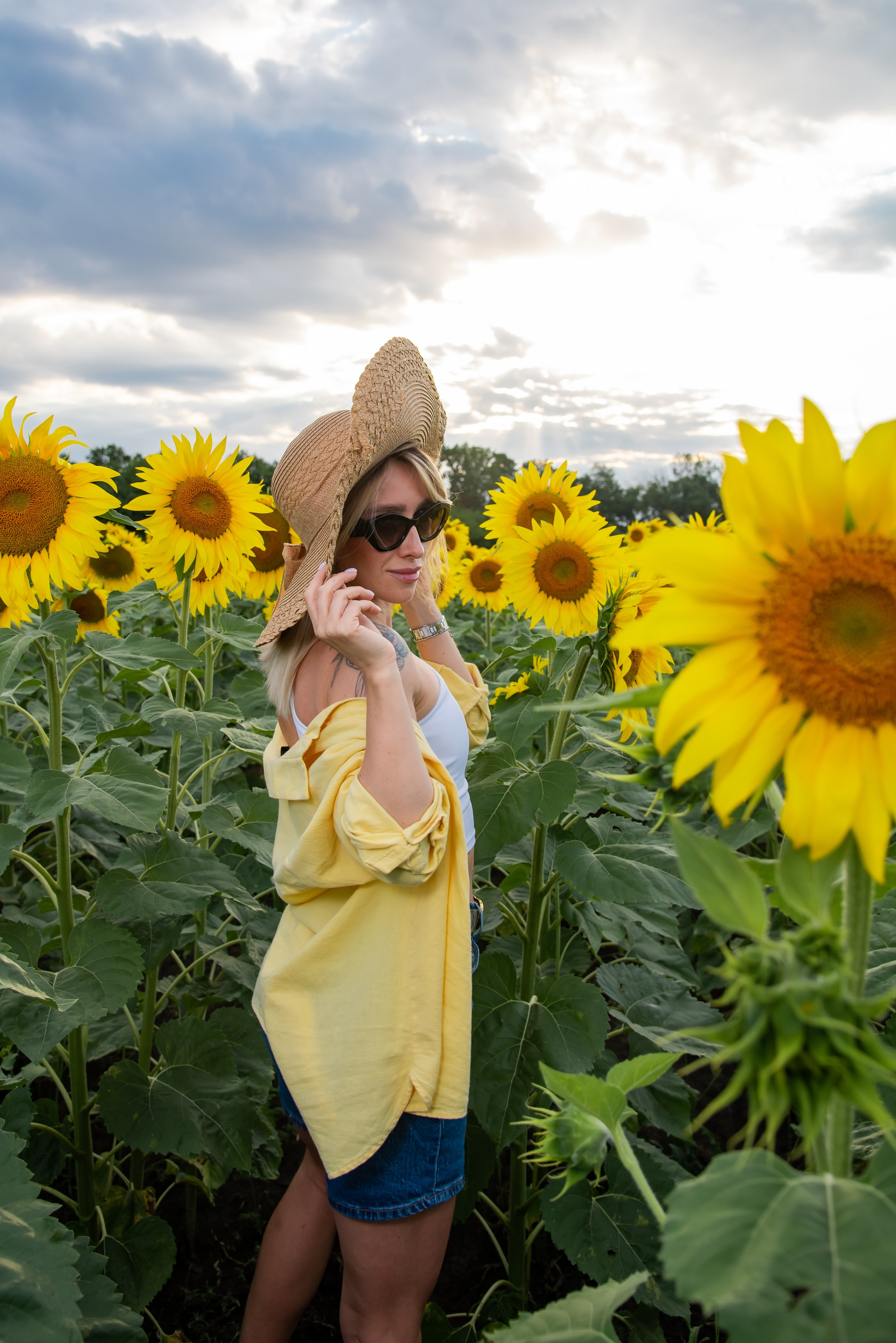 Подсолнух. Фотограф Галина Нестерова