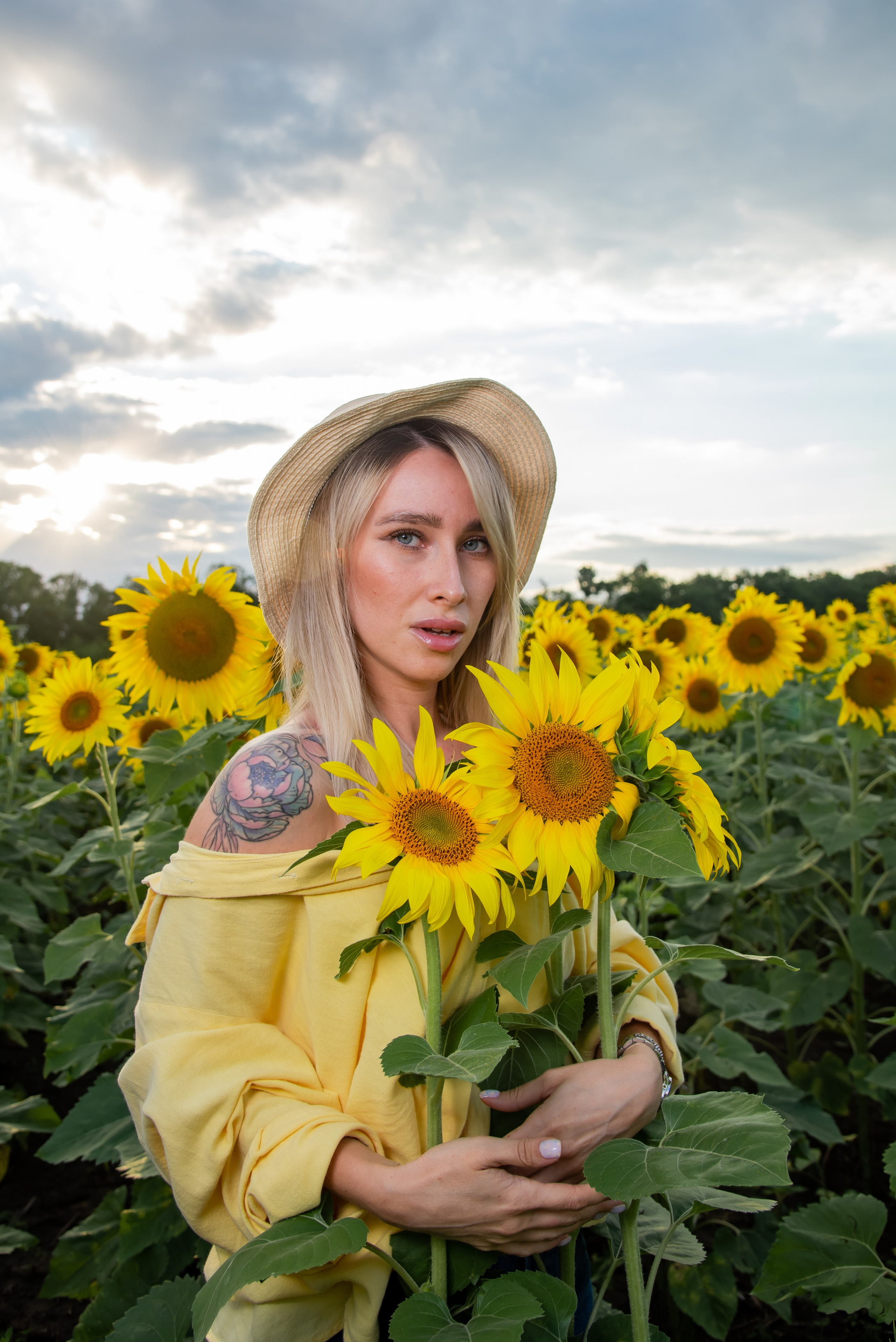 Подсолнух. Фотограф Галина Нестерова